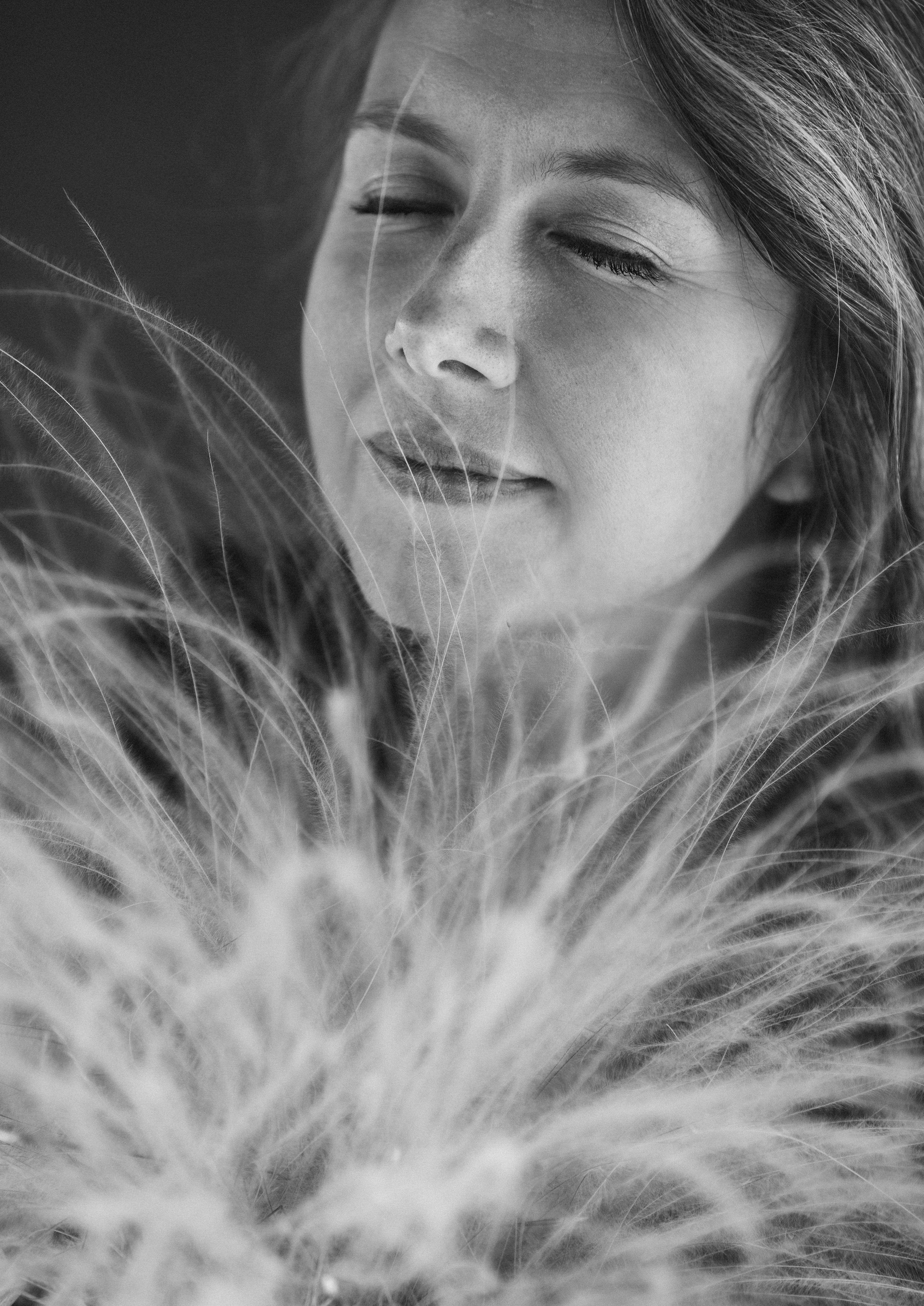 …история о цветочных принцессах. Марковы: фото, видео, кино и книги