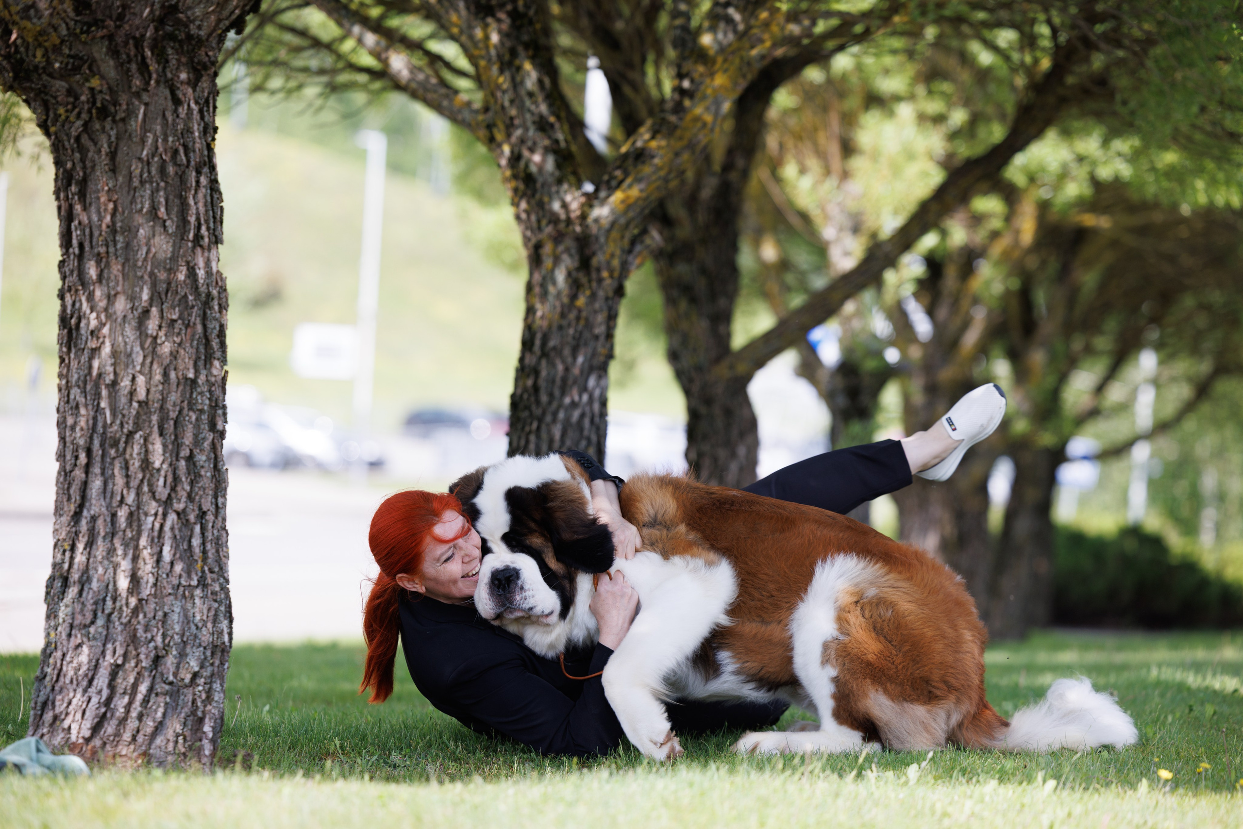 Минск 31.05-1.06.2025. Фотограф-анималист Юлия Германика