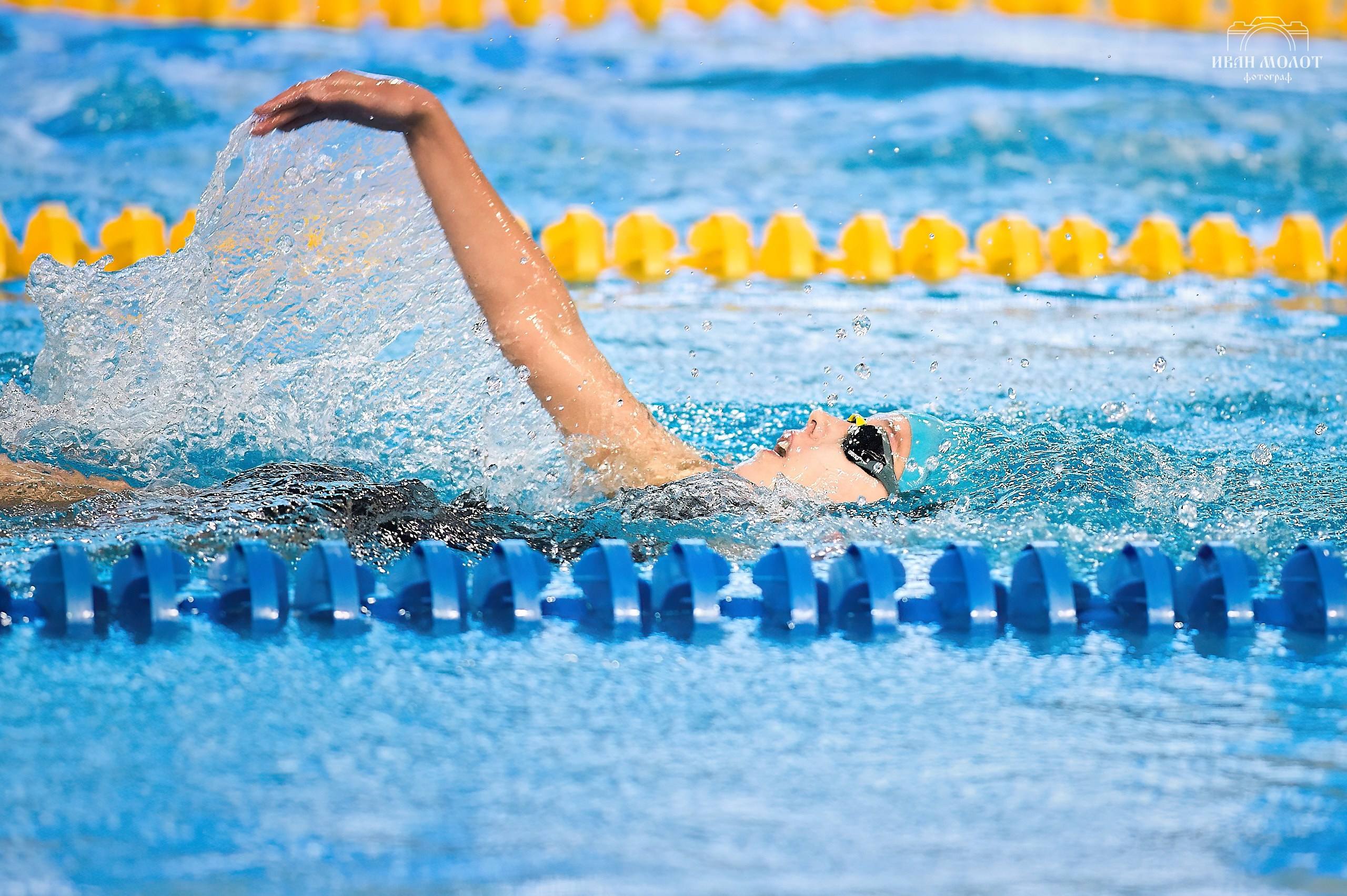 Плавание. Спортивный фотограф Иван Молот (Киров)