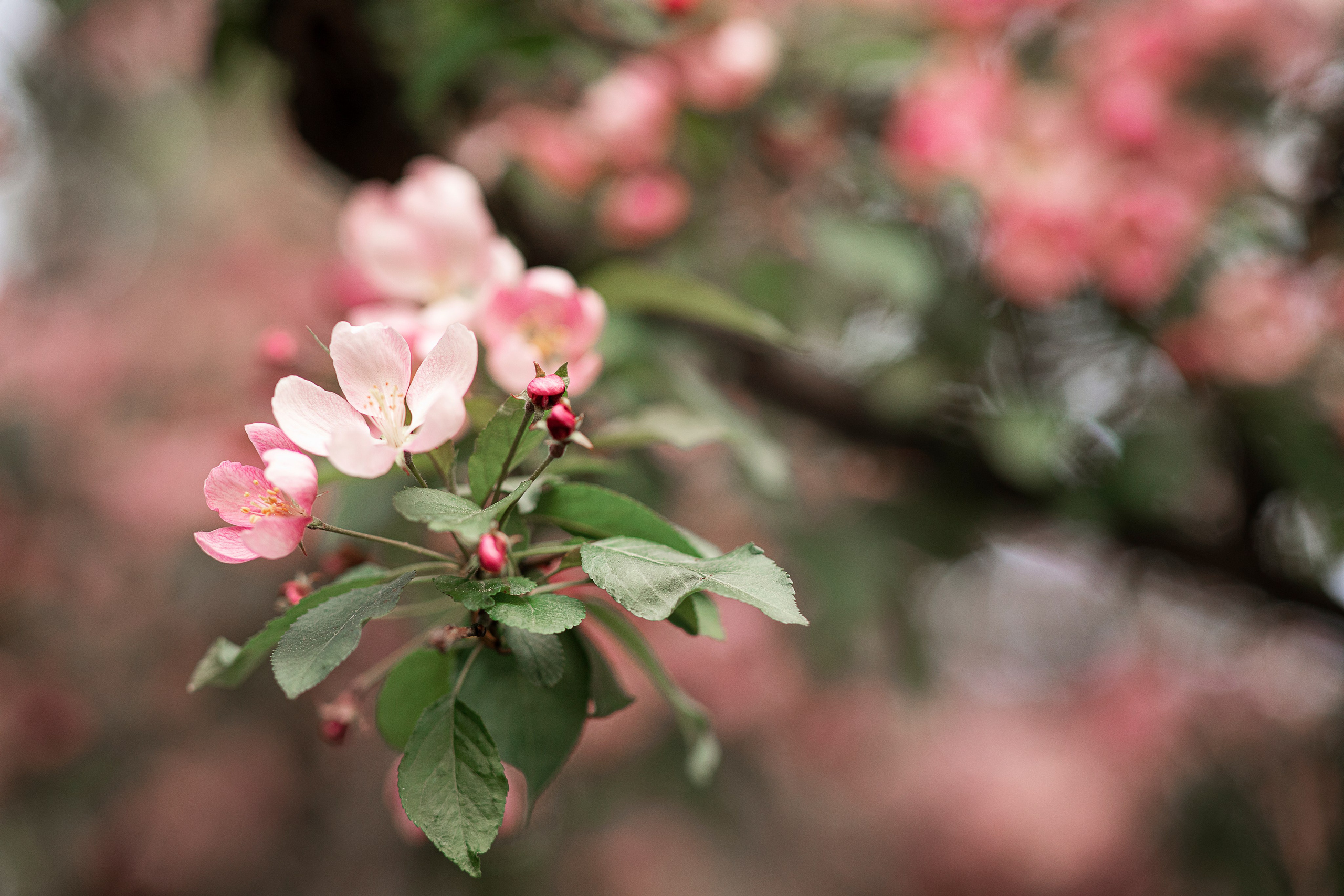 Весна. Спортивный фотограф в Москве