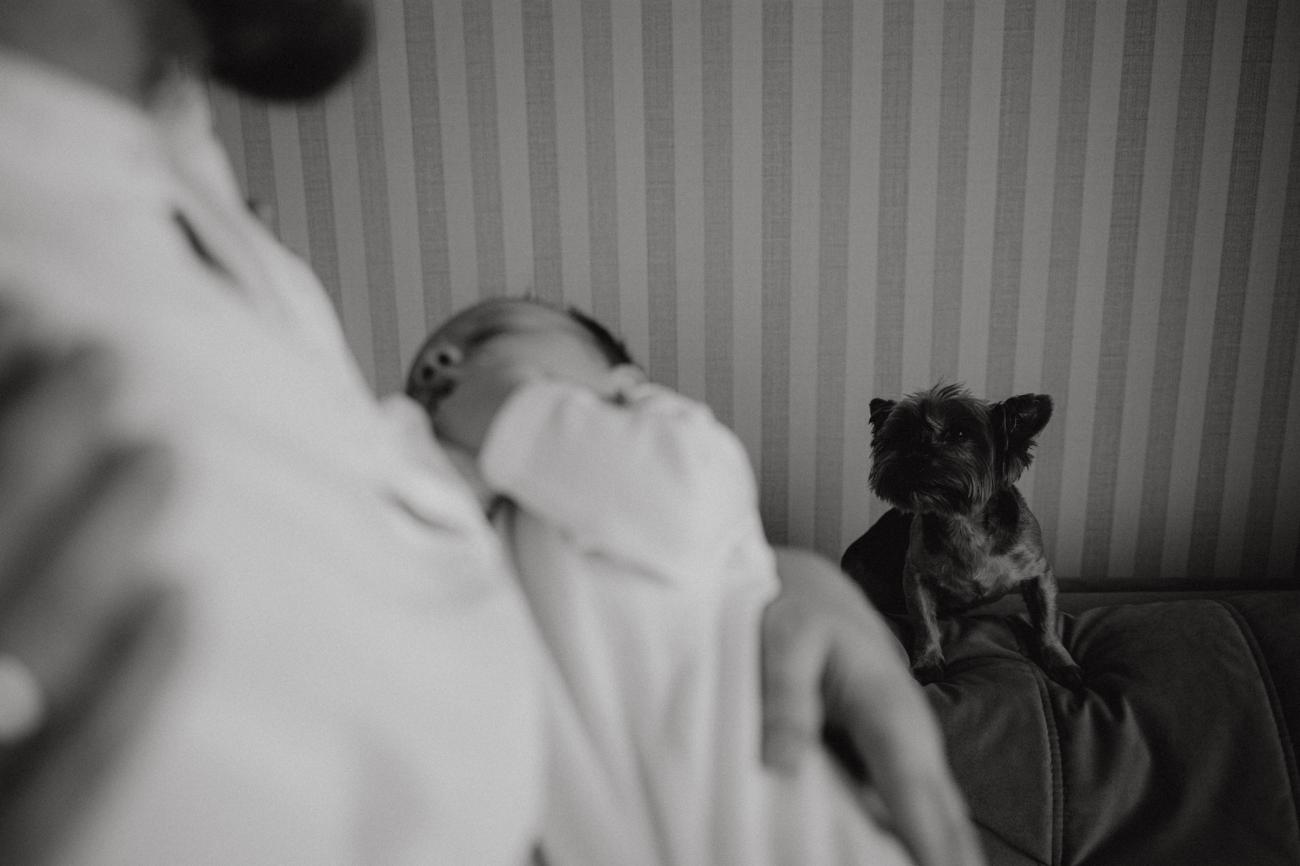 Кирилл, Лена и Матвей. Семейный и свадебный фотограф Анна Кожокарь