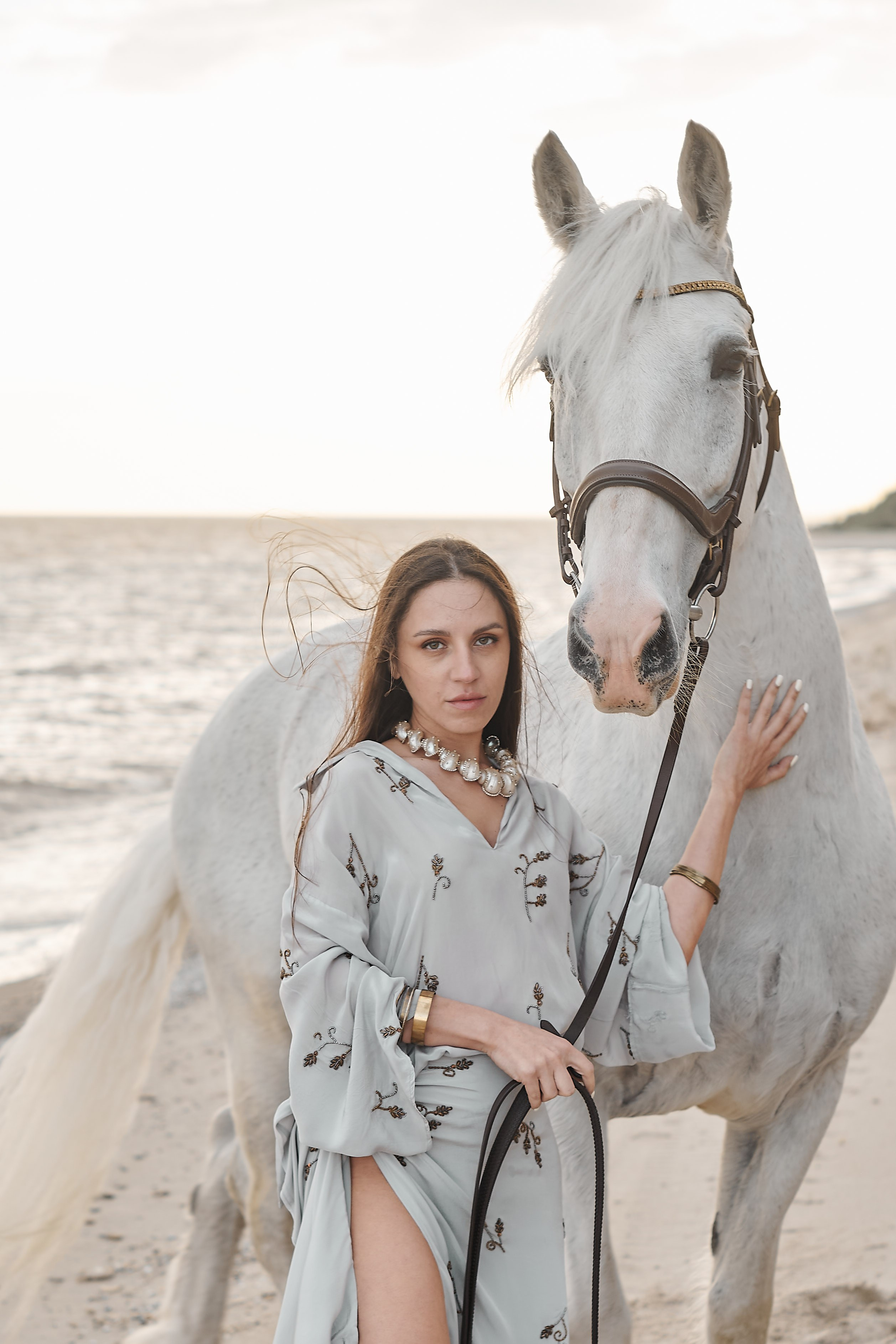 Цирковой конь Гефазт. Катерина Дрюкова фотограф/видеограф