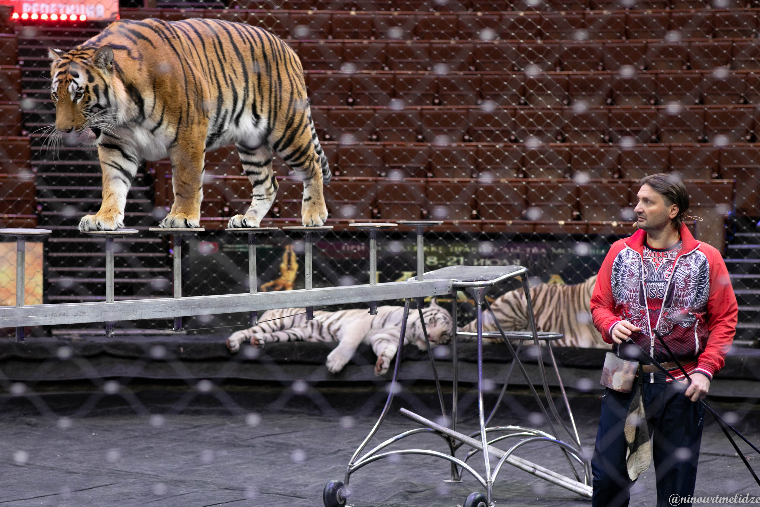 В закулисье у братьев Запашных. Art photographer Nino