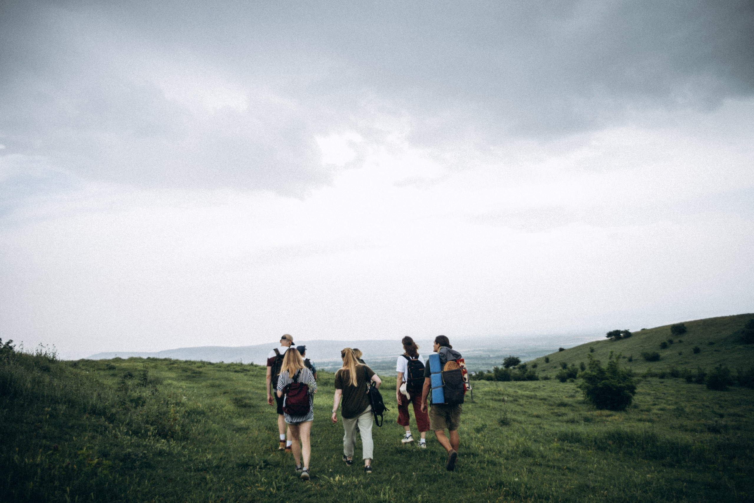 Коджори, Грузия 🇬🇪 «Honey Trip». Anita_photo