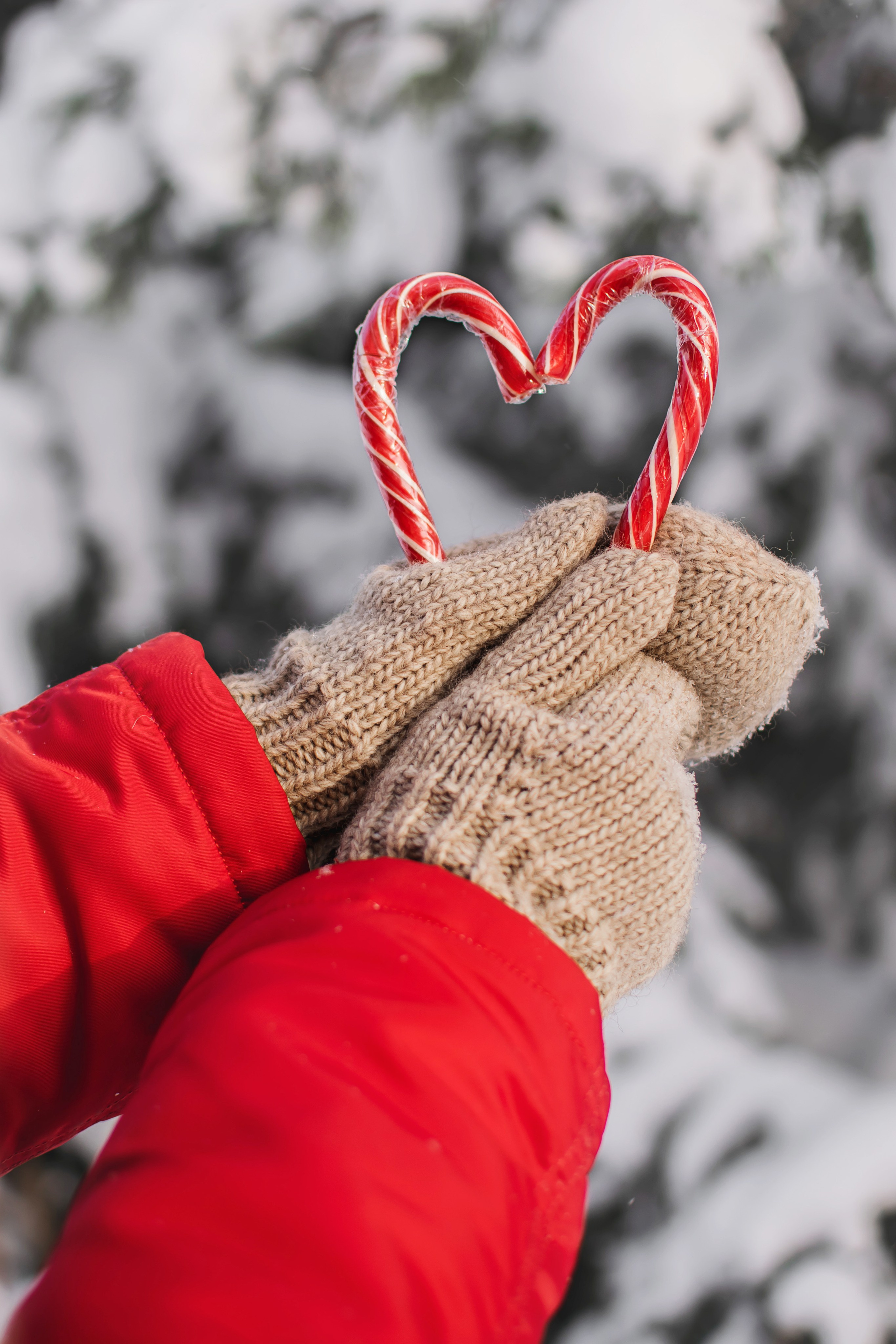 Зима блондинка. Детский и семейный фотограф в Волоколамске Ирина Шарова