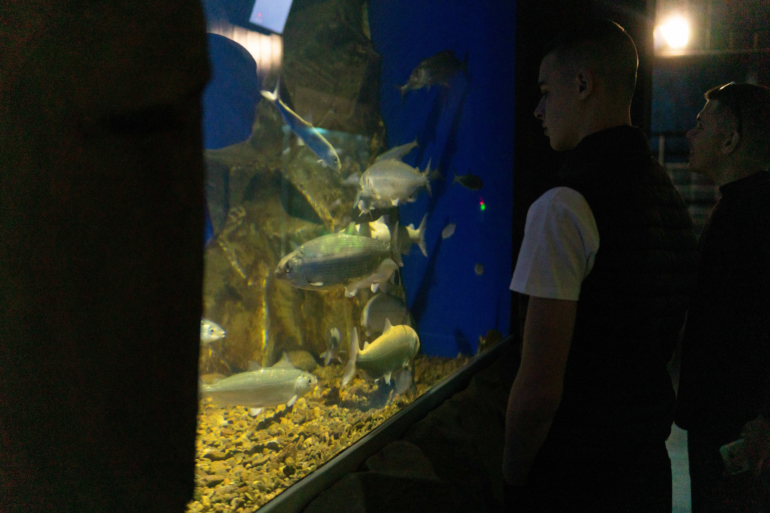 Экскурсия краснодарской делегации. Медиа-портфолио Марии Абрашиной