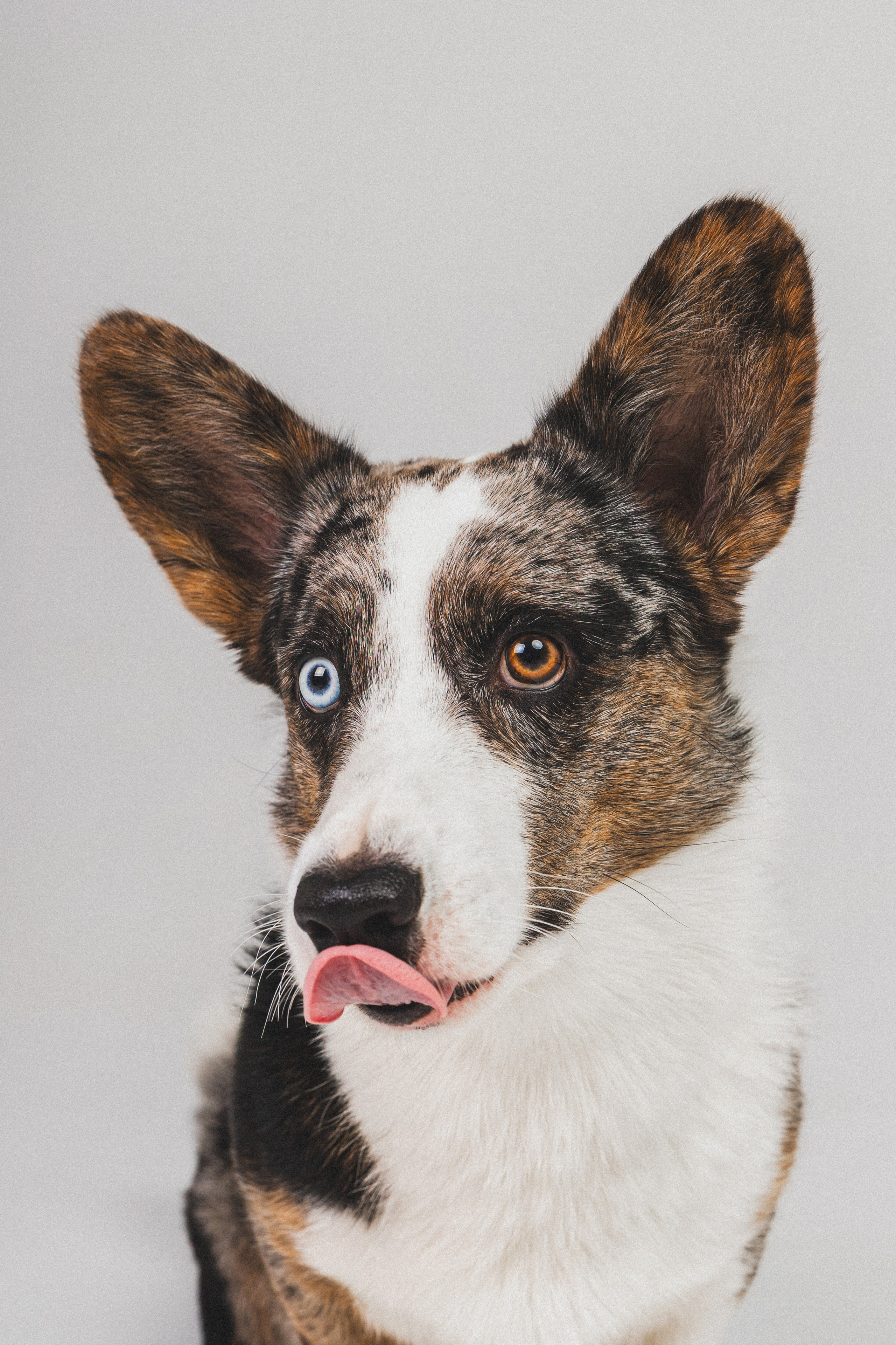 Анатолий и Рагнар