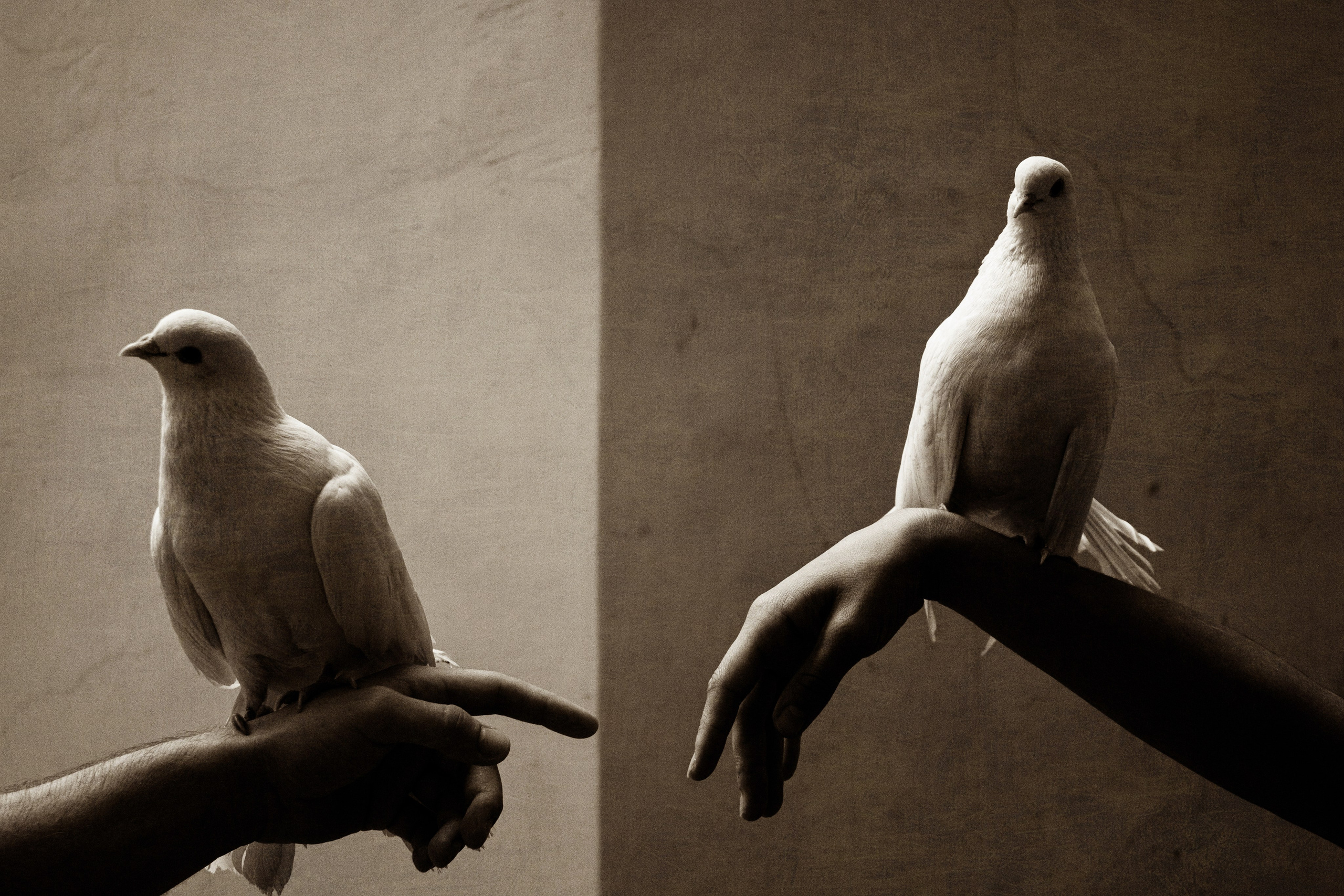 ПОРТРЕТ. Петербургский фотограф Елизавета Мордвина-Щодро