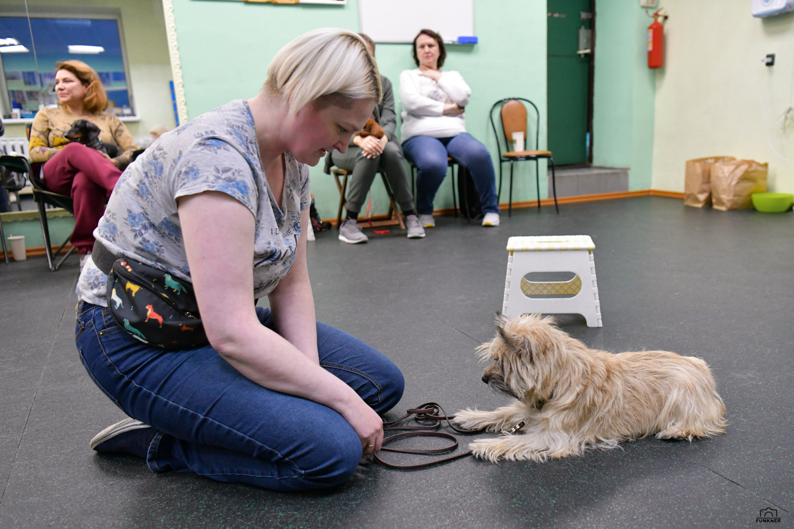 Кинологический клуб «Бодрый хвост». Свой взгляд через объектив