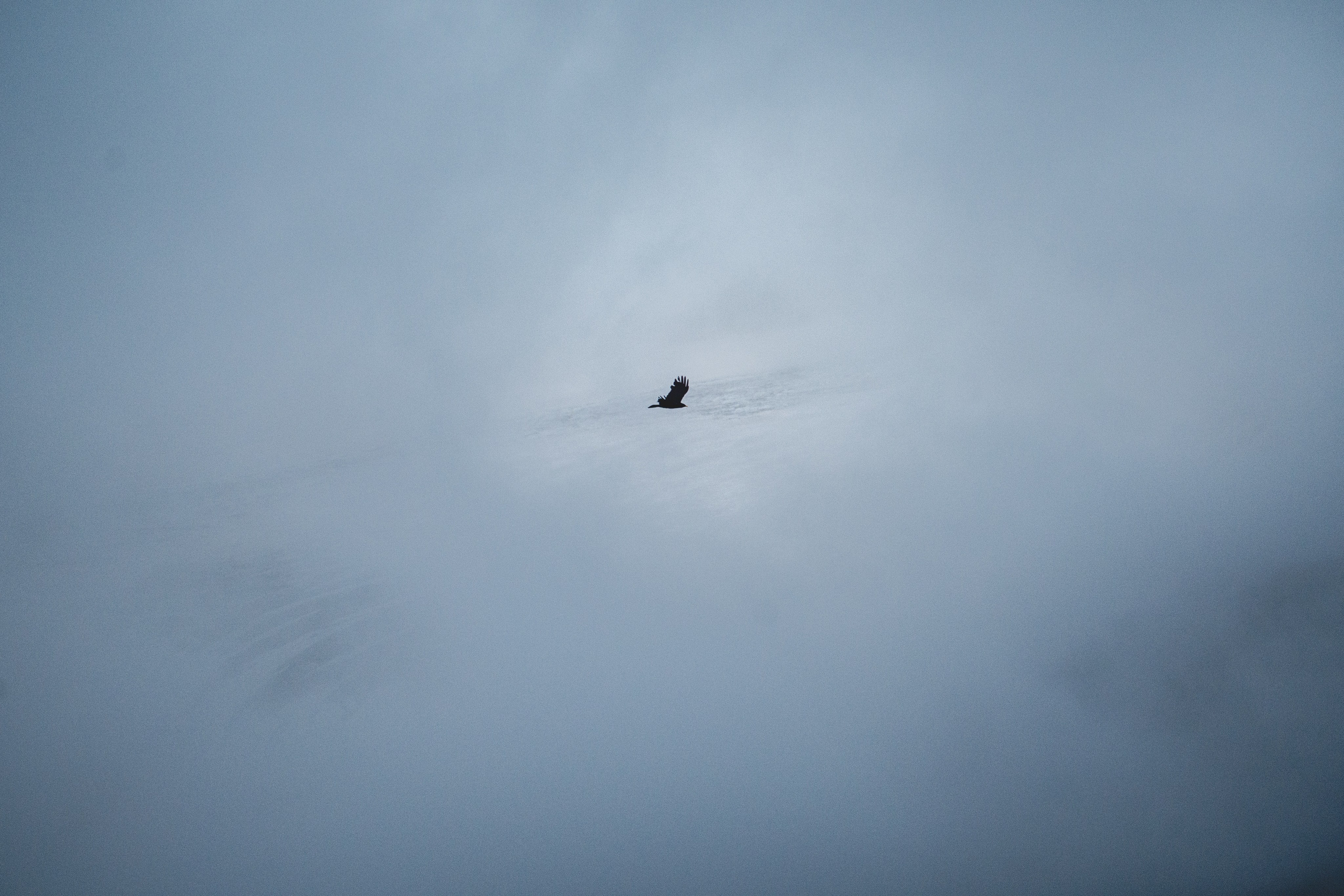 Приют Нацпарк. Фотограф Настя | Экспедиции и лайфстайл