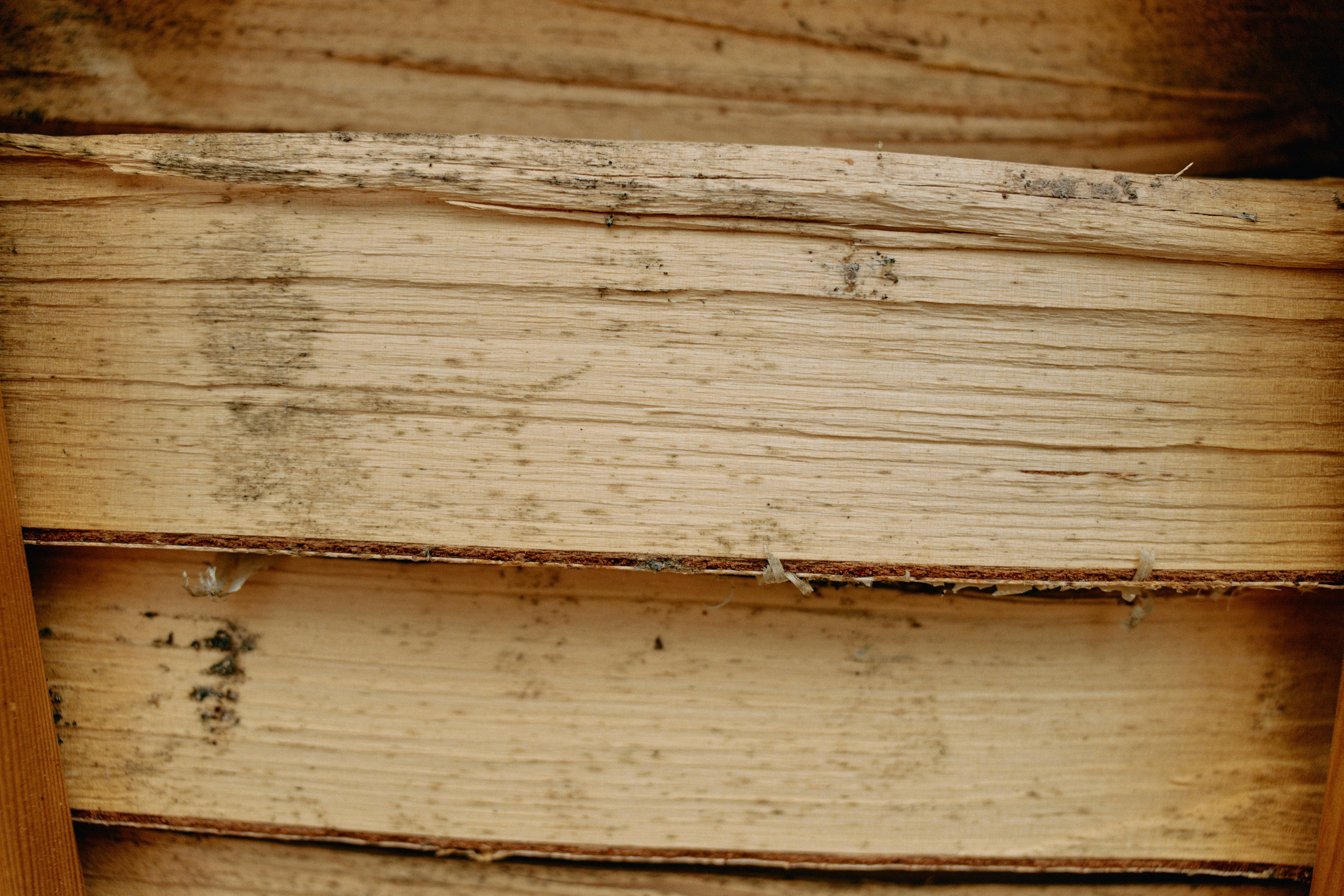 Бутик-отель Поле летом. Профессиональный Фотограф во Владимире, в Москве и в Суздале — Полина Романычева