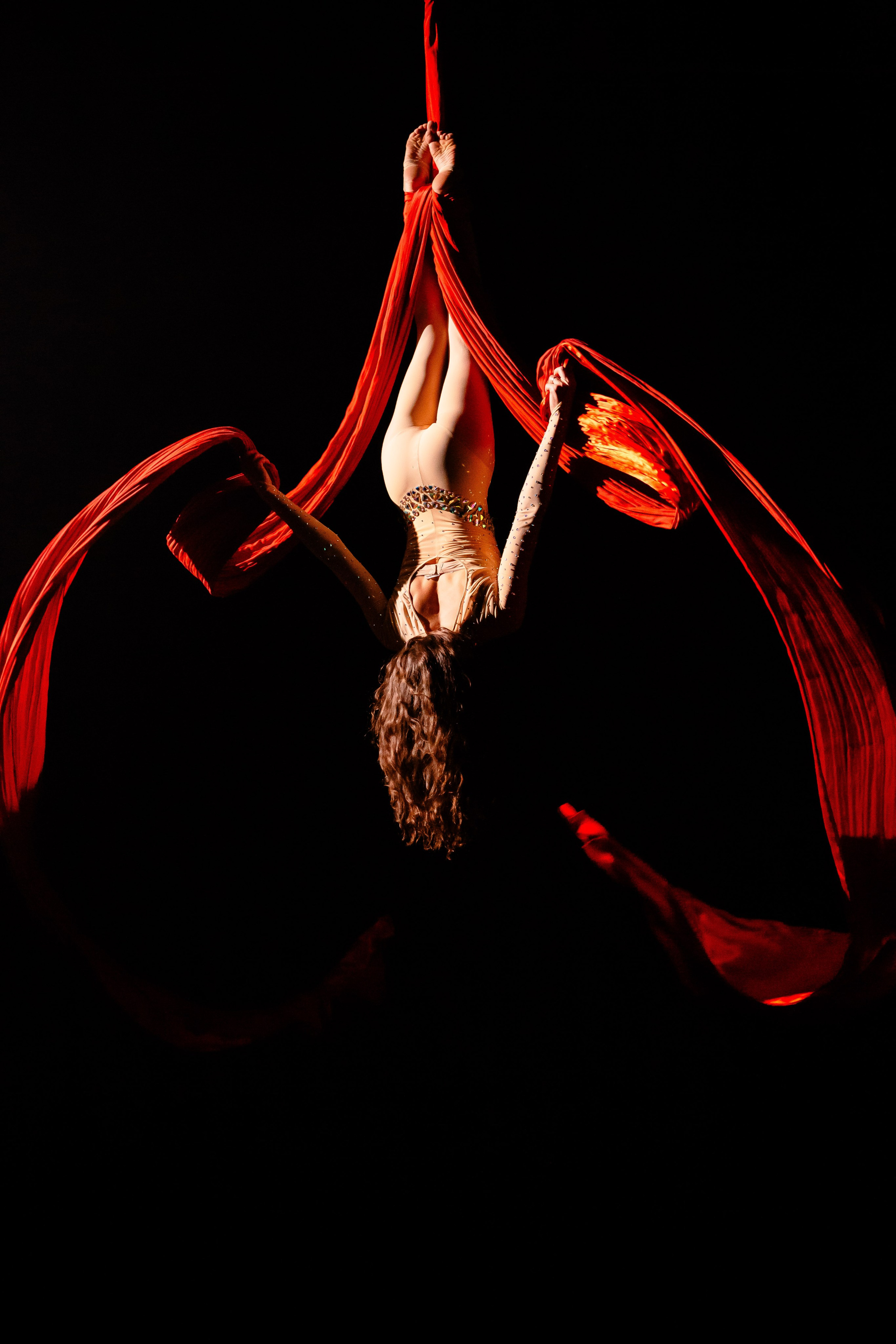 Цирковое шоу. Видеограф Добромыслов