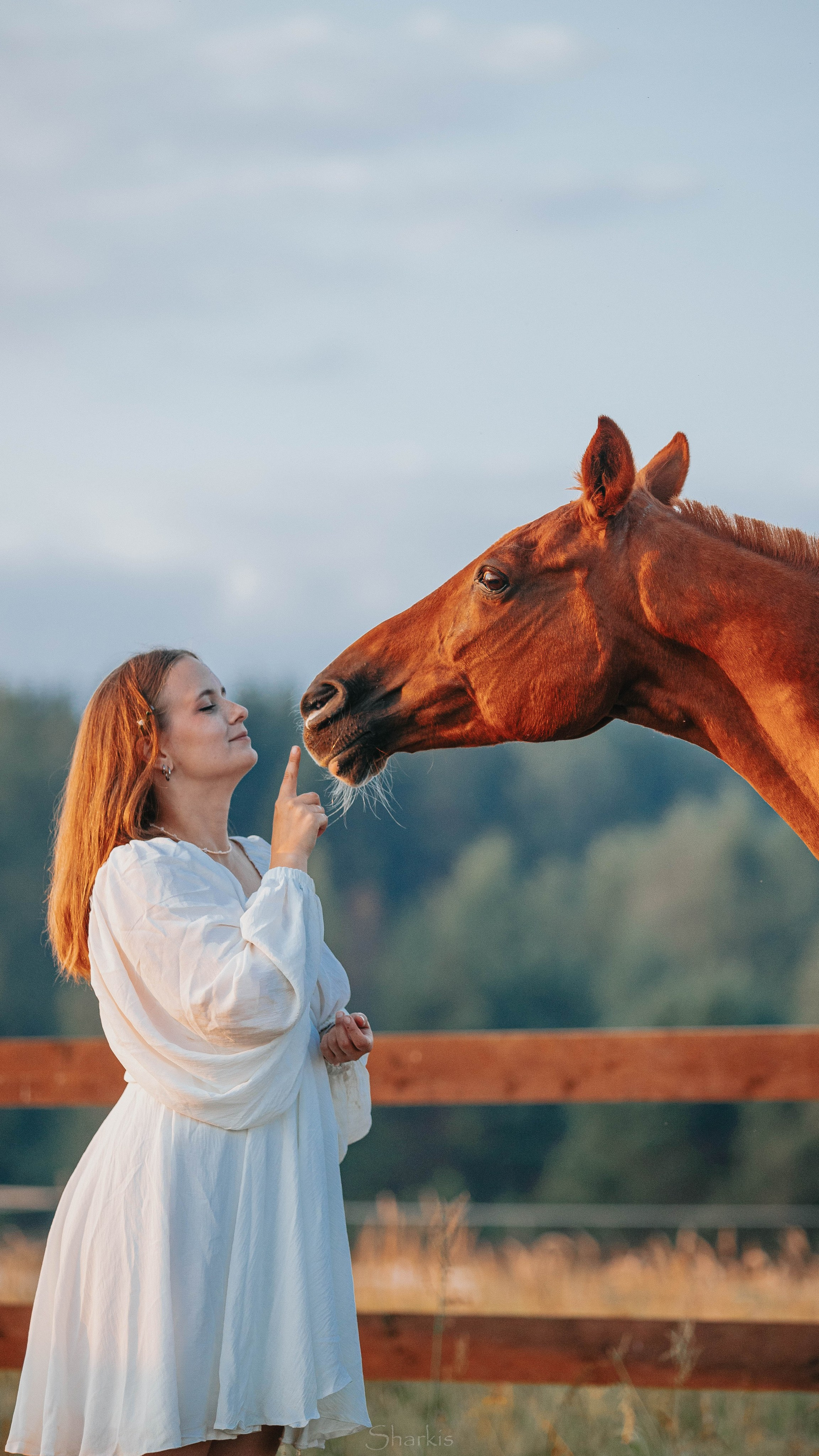 Аня и Гас. Главная