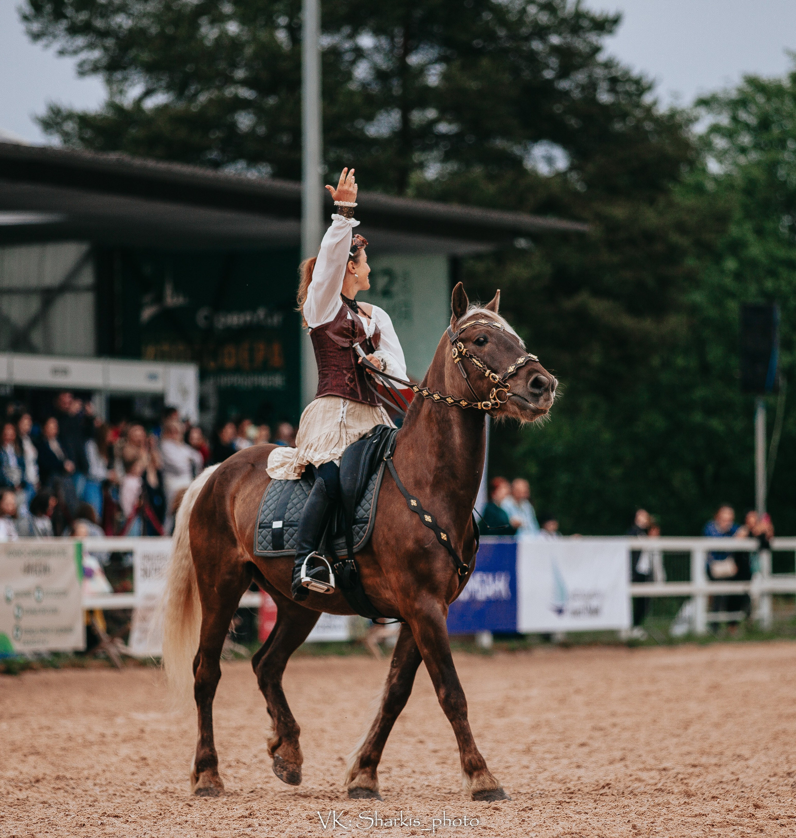 Лошади. Главная