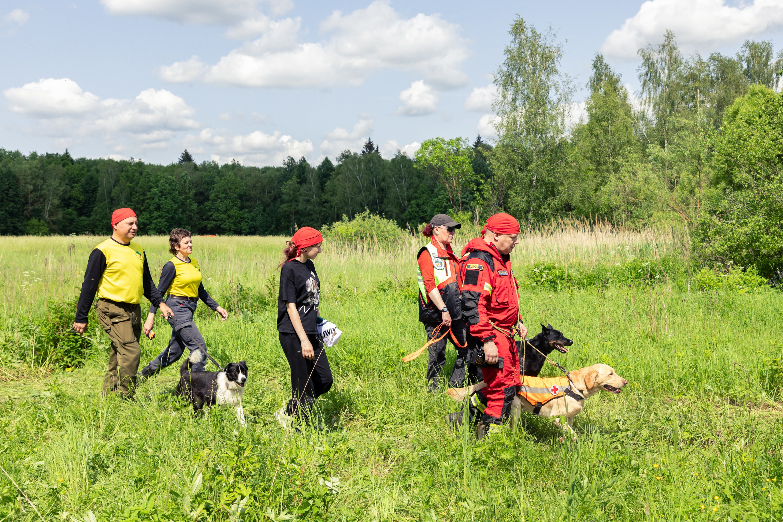 ДПСО «ЛизаАлерт». Главная