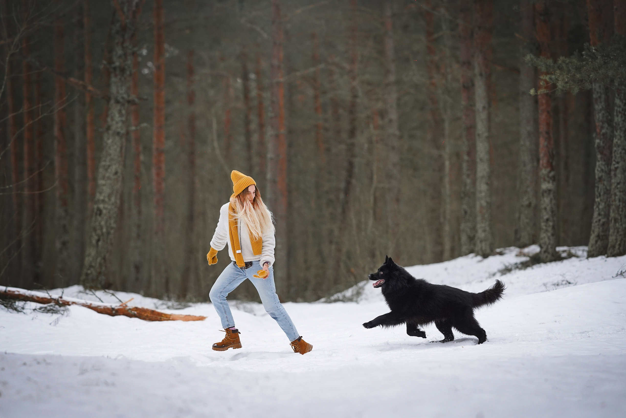 Лора Джанго и Хэппи. Фотограф-анималист в Санкт-Петербурге Яна Мартынова