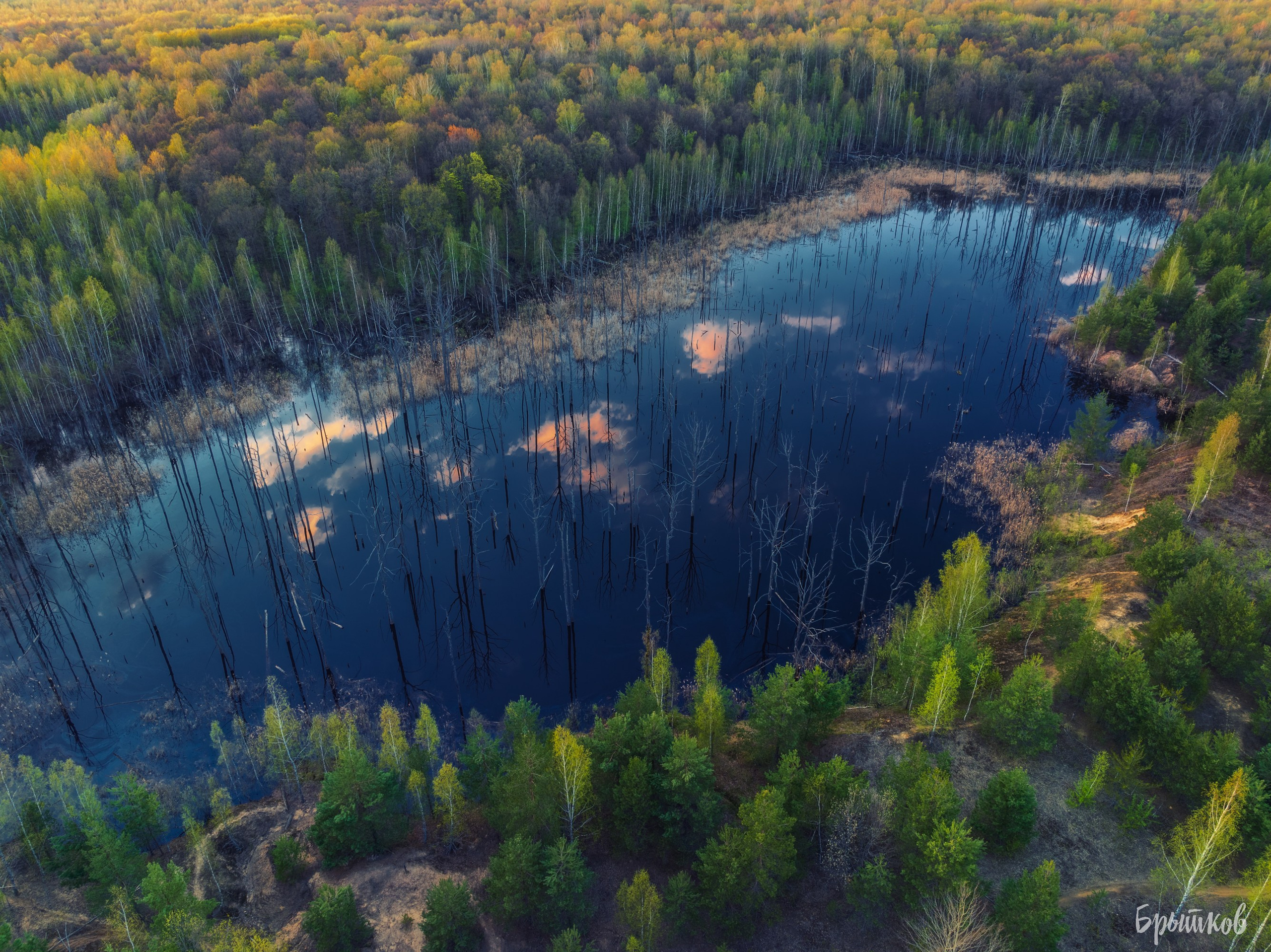 Суворовские карьеры. Николай Брытков — фотограф в Туле