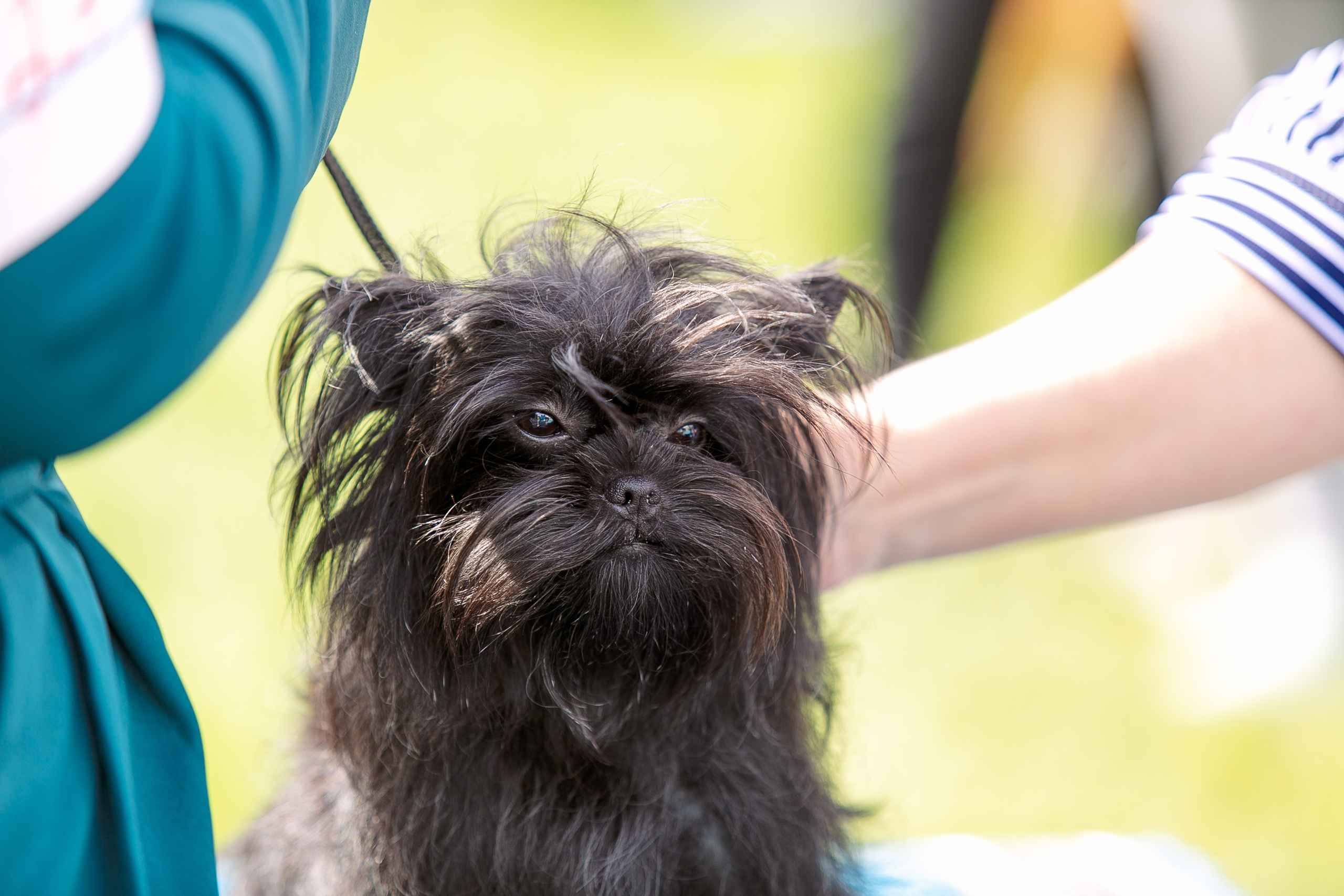 Окунулась вновь в атмосферу выставки…. Школьный фотограф в Туле Светлана Привезенцева