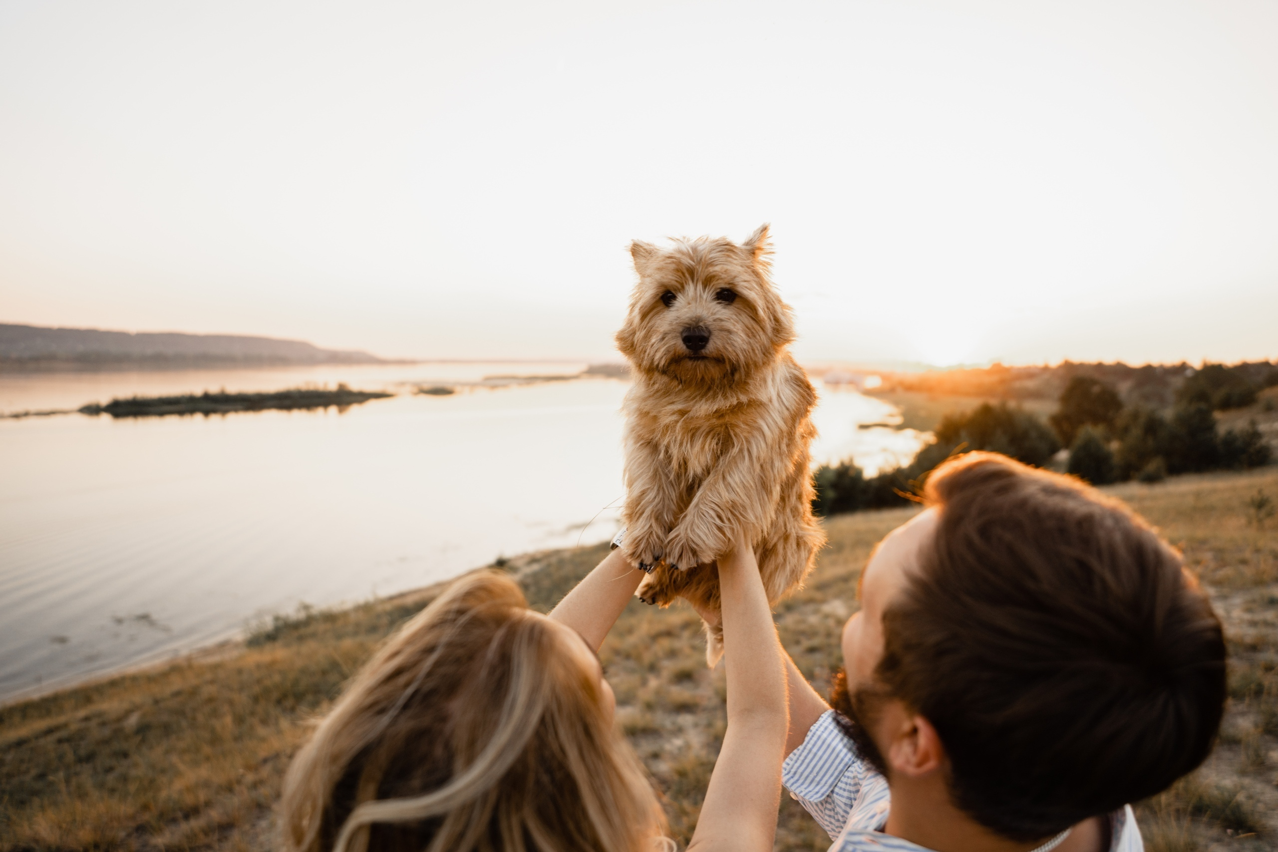 Свадебный Фотограф Москва Нижний Новгород | Артём и Анна Тороповы