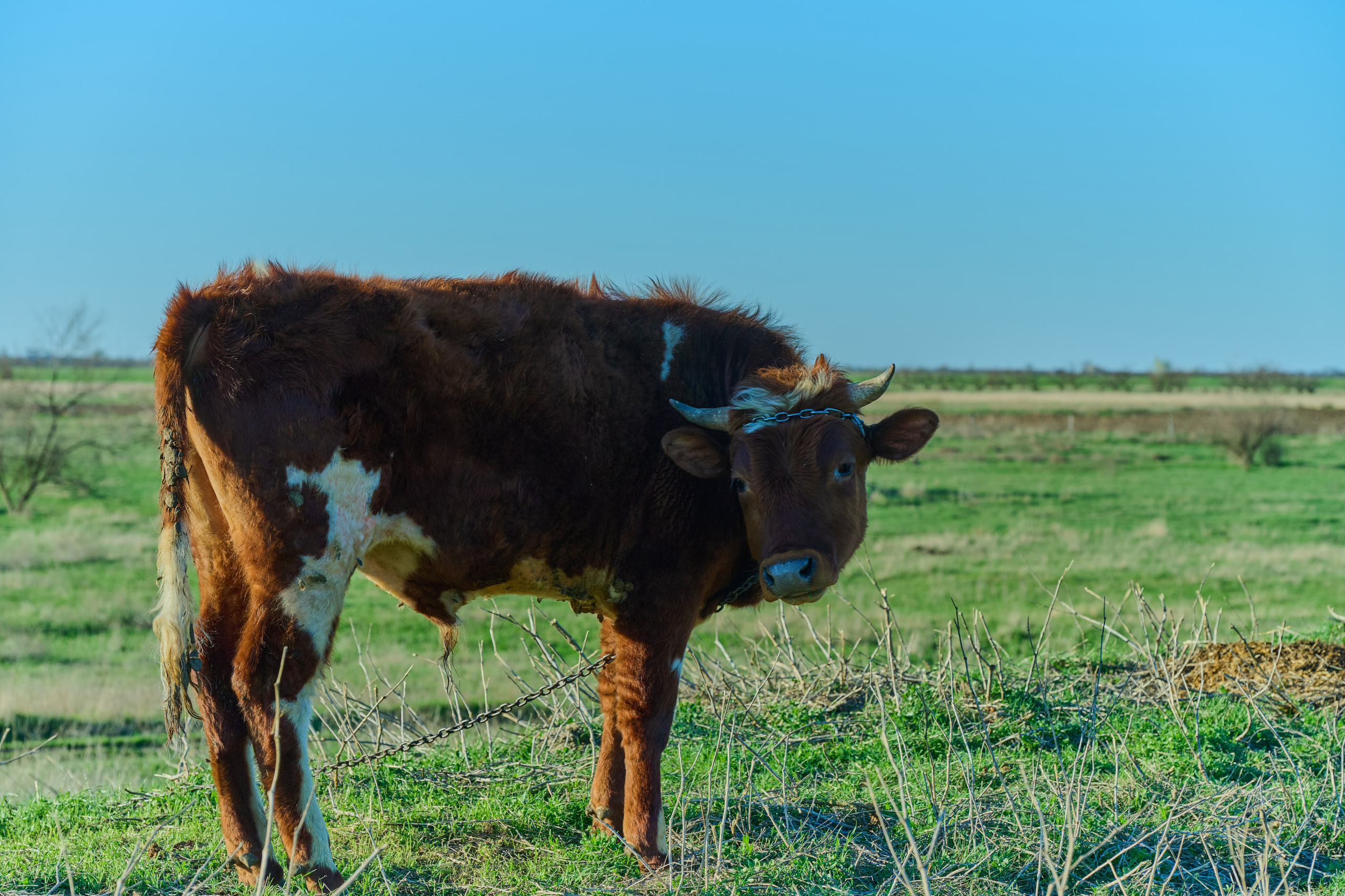 Мелитополь. Фотопроект «Территории»