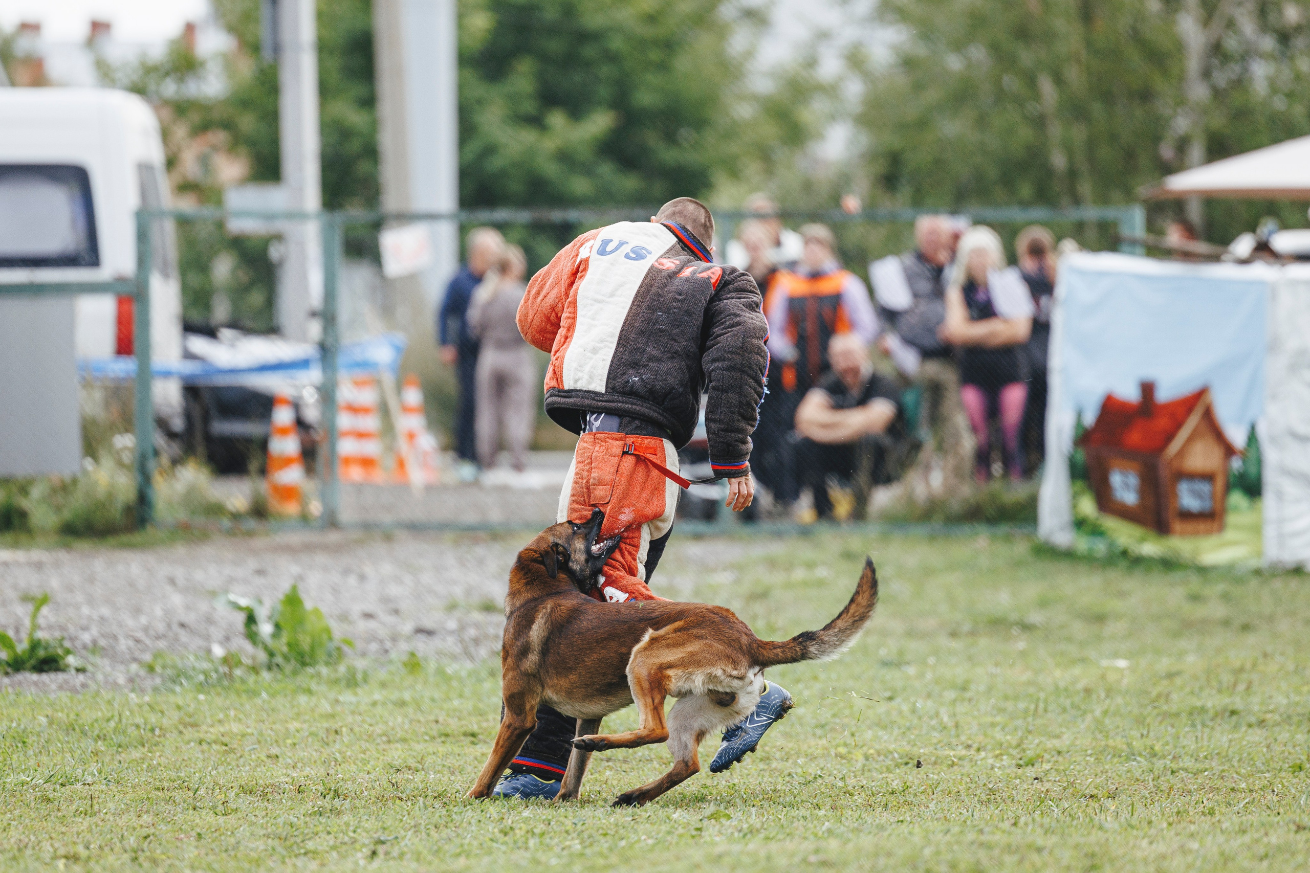 08.08.25-10.08.25 ЧР по мондьорингу г. Вологда. Фотограф-анималист Анна Маринич