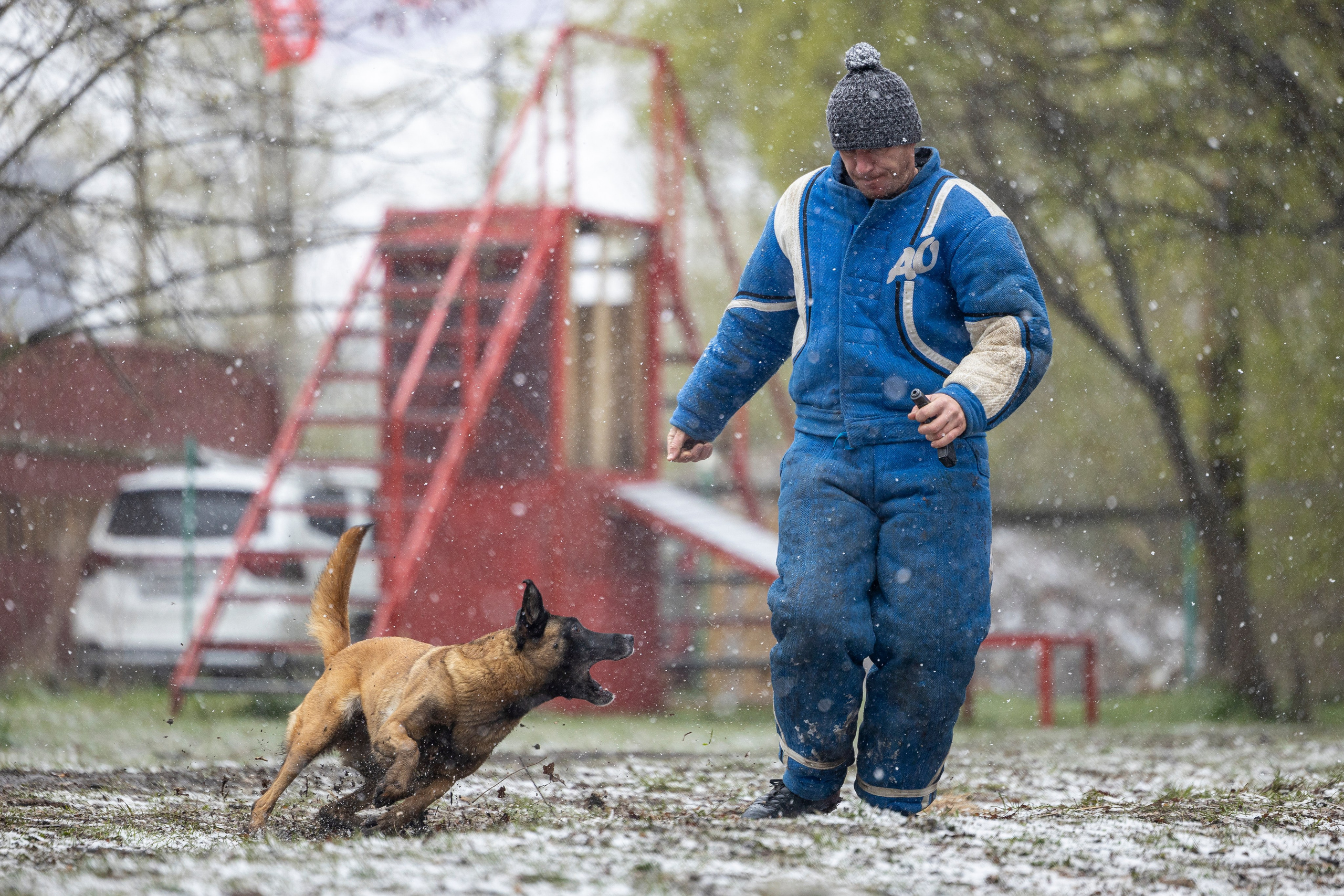 Квалификационные состязания по мондьорингу г. Вологда 11.05.24. Фотограф-анималист Анна Маринич