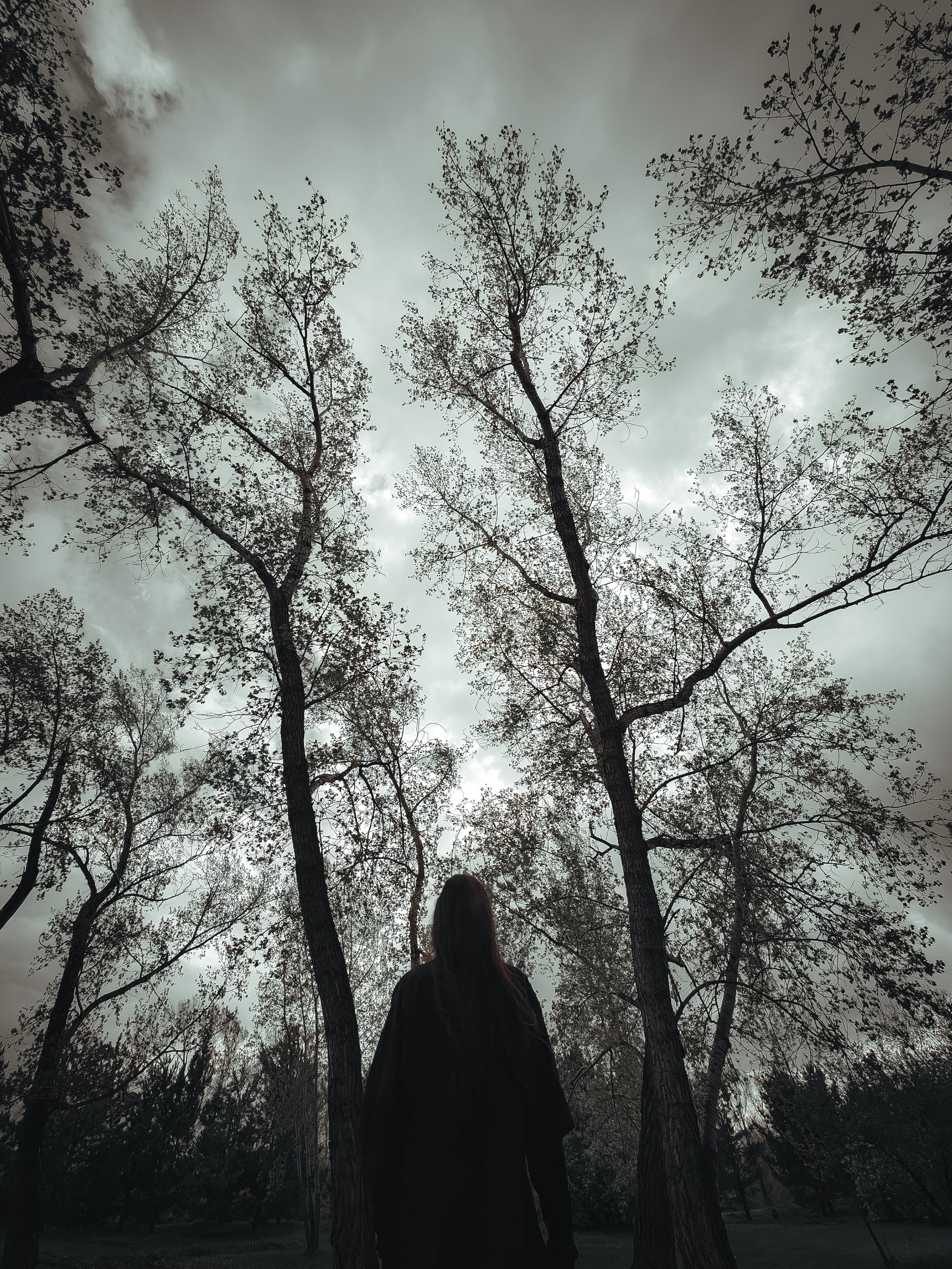 Ренат. Коллажная съёмка. Фотограф Регина Крикунова г. Красноярск