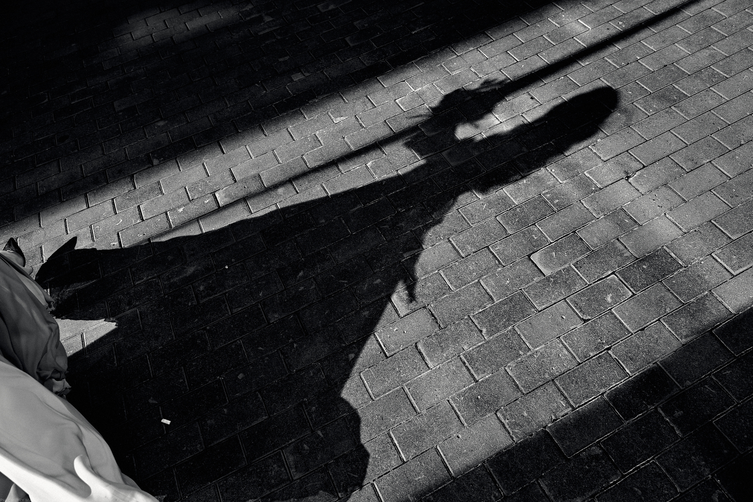 SPARKLING ROSE. Дмитрий Мазуркевич: Профессиональный Репортажный Фотограф