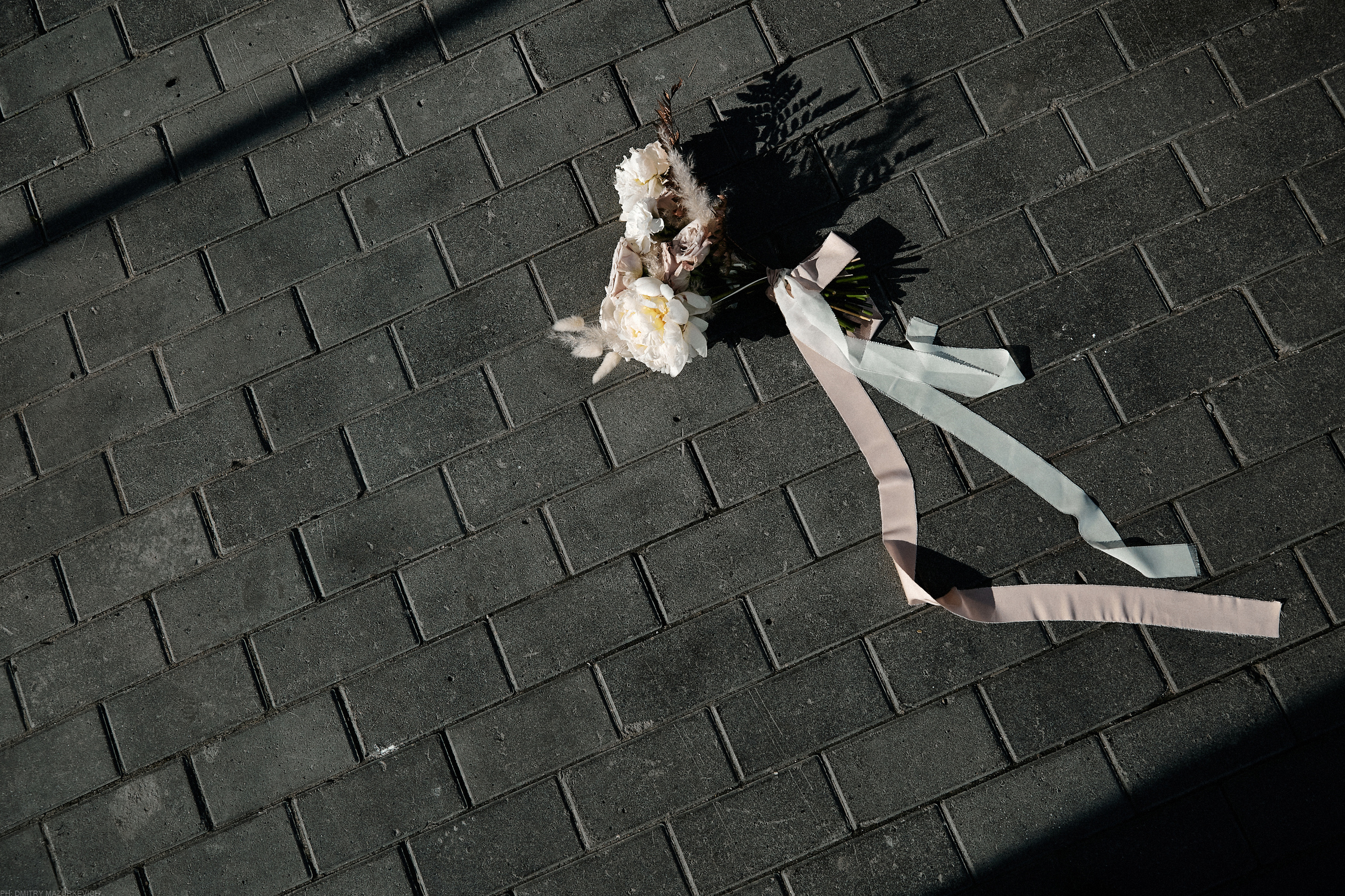 SPARKLING ROSE. Дмитрий Мазуркевич: Профессиональный Репортажный Фотограф