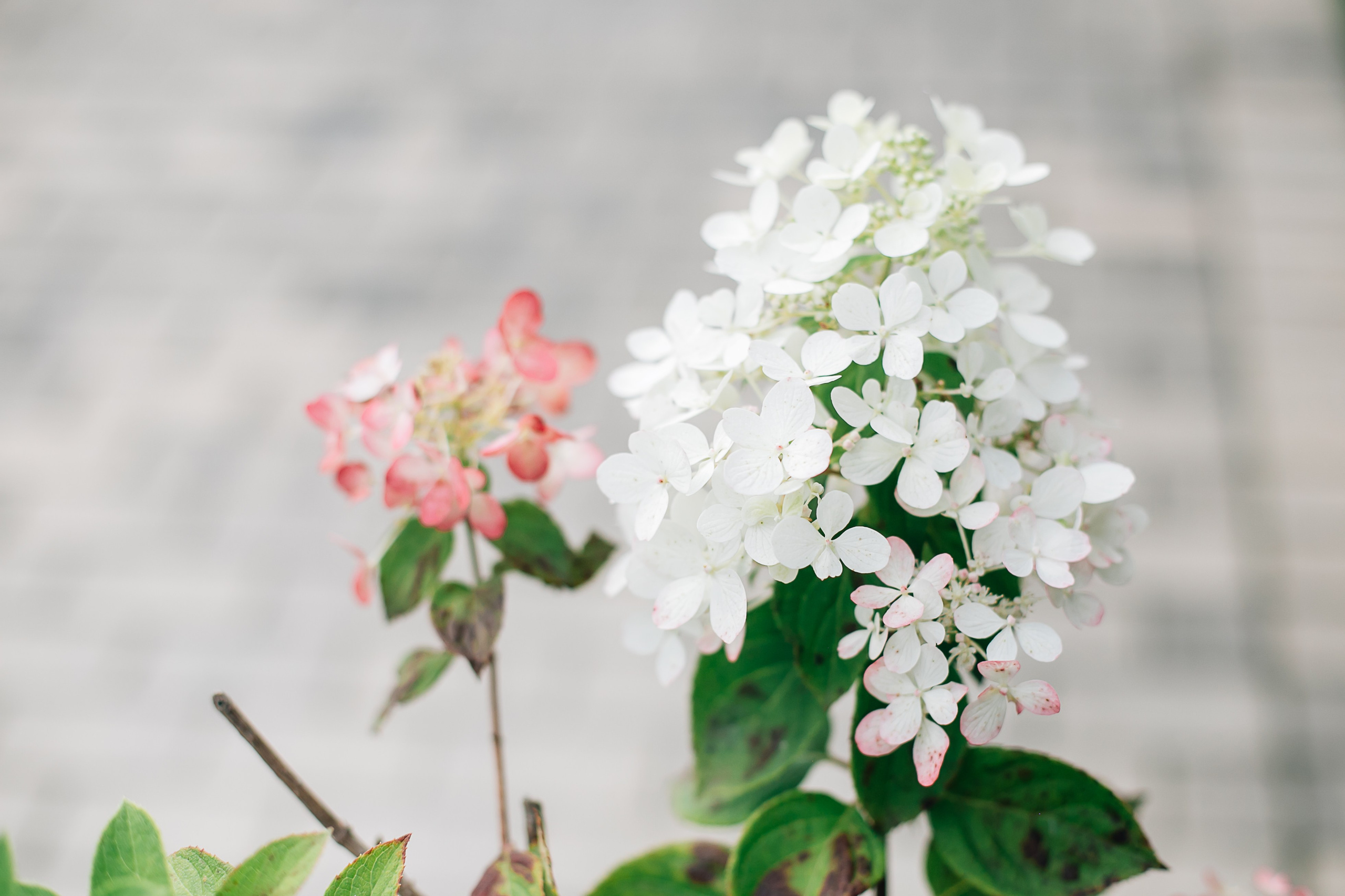 Алексе 5 лет. Главная