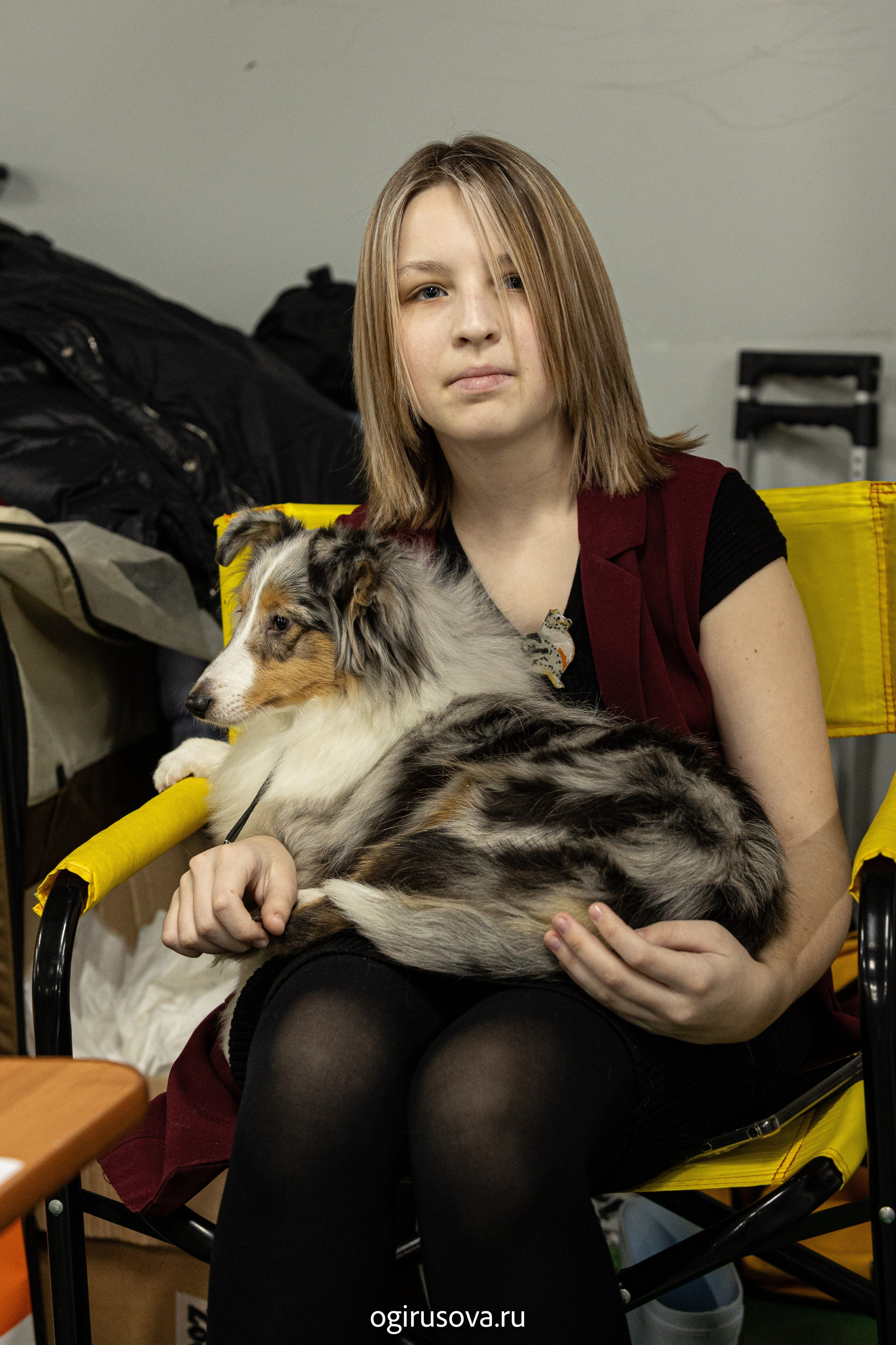 РОО КЛЖ «Олимп"+"Империя"+"Виктория».Выставка собак. Фотограф Ольга Гирусова «Пантерочка» Москва