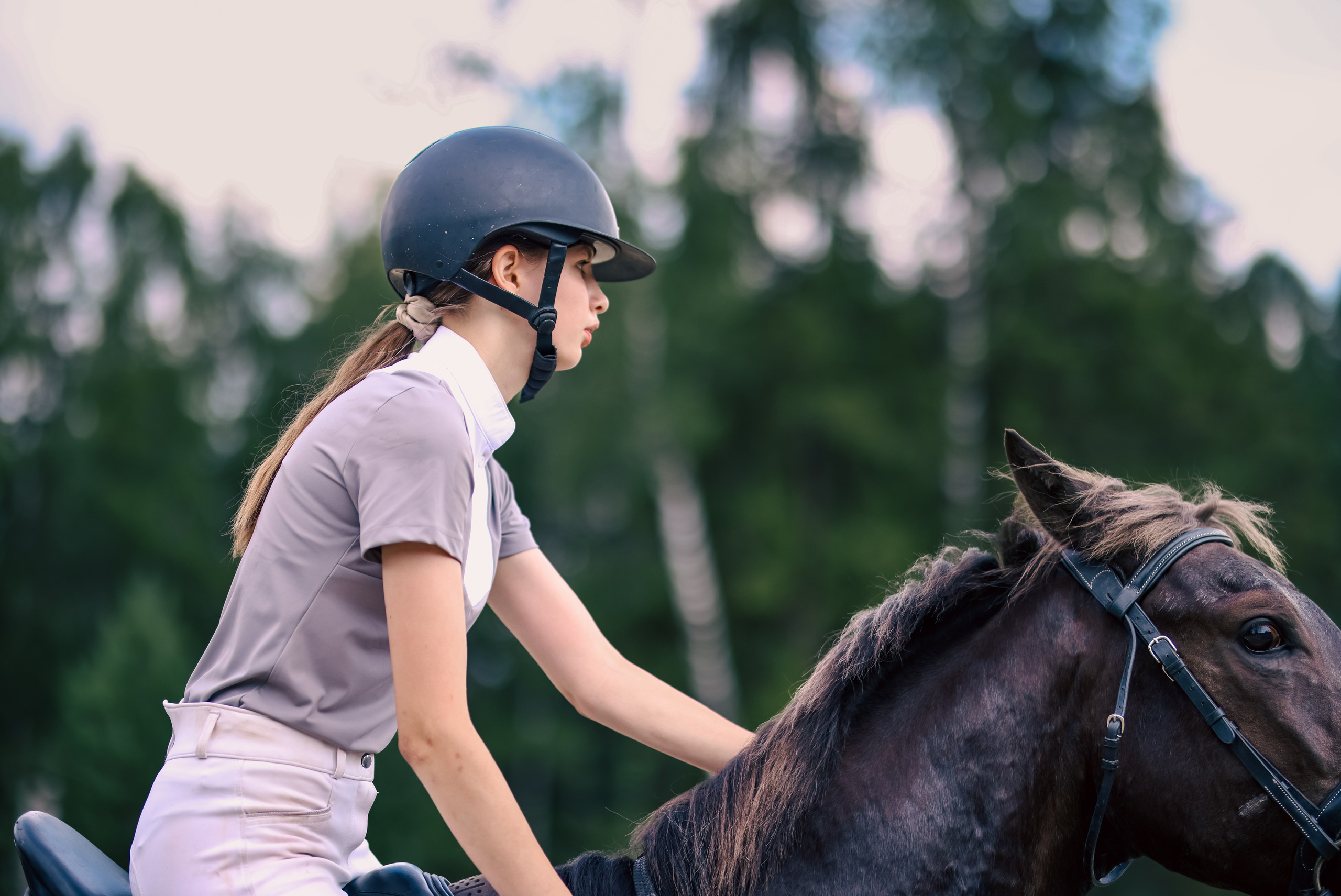 Лошади. Фотограф репортажей и стритфотосессий в Москве Людмила Смирнова