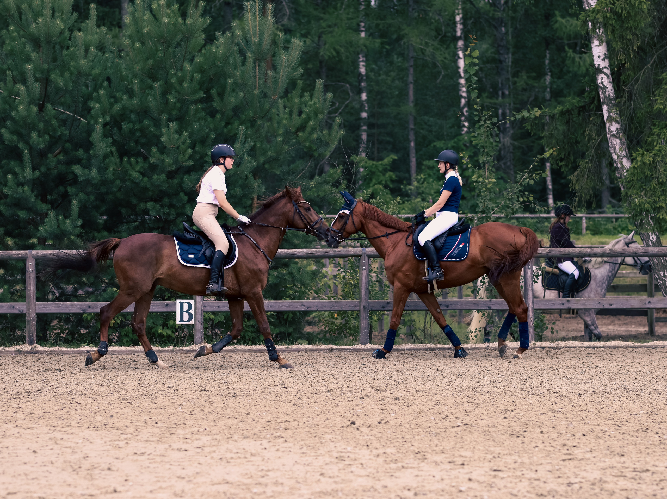 Соревнования по конному спорту. Фотограф репортажей и стритфотосессий в Москве Людмила Смирнова
