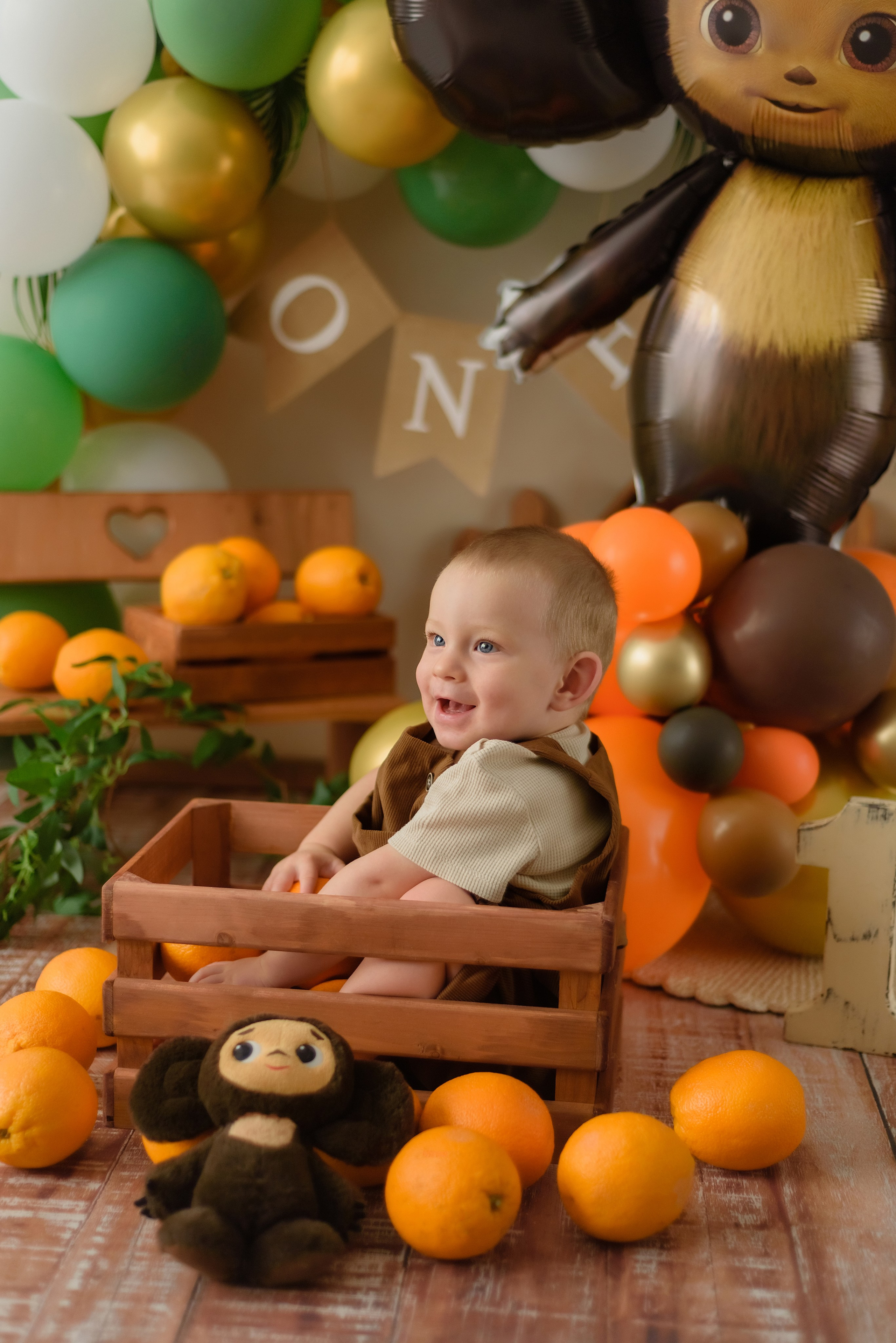 «Чебурашка» 1 годик. Детский Фотограф |Фотограф на годик в Брянске Ирина Романова