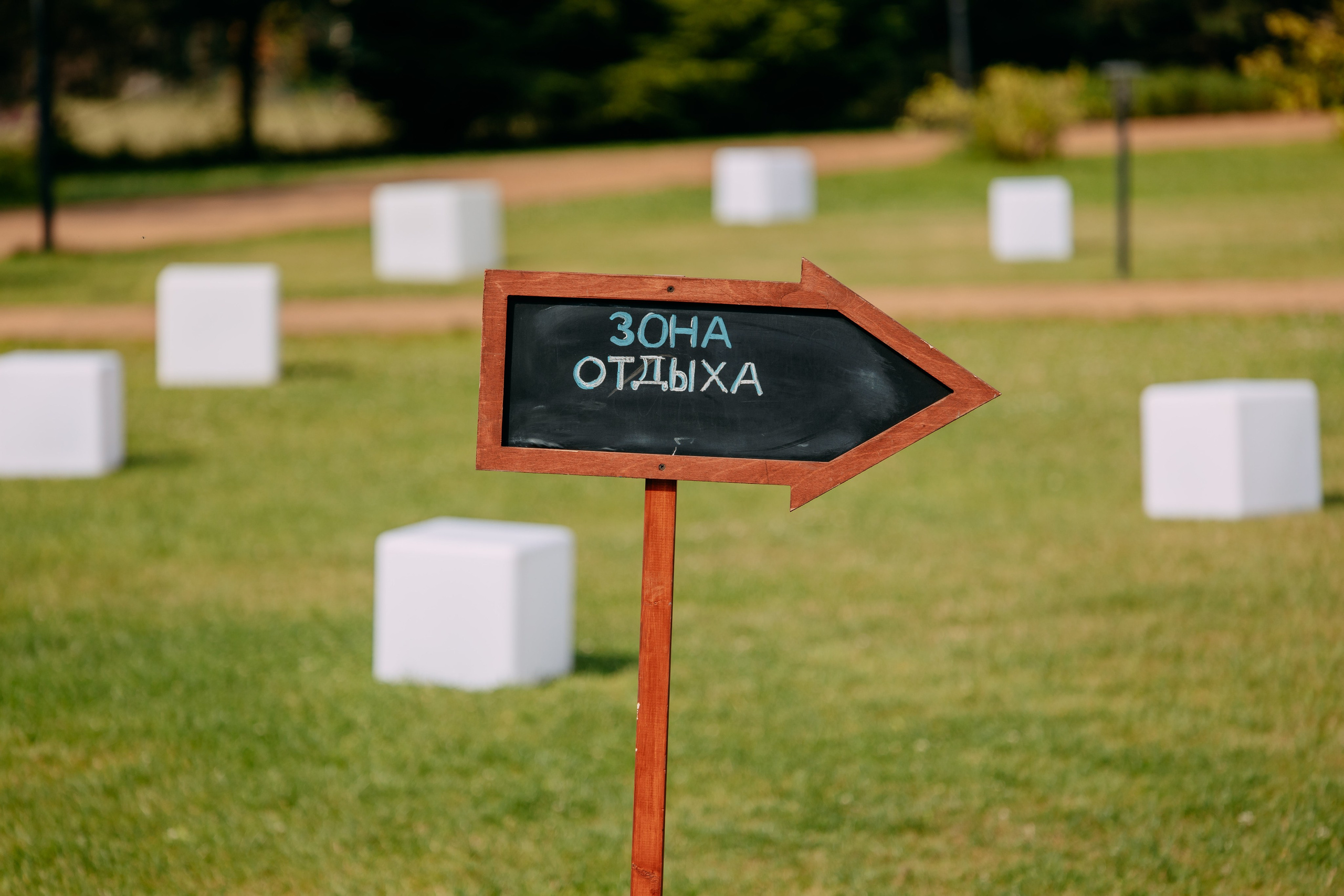 Тимбилдинг Самолет. Фото и видео съемка. Андрей Ионов