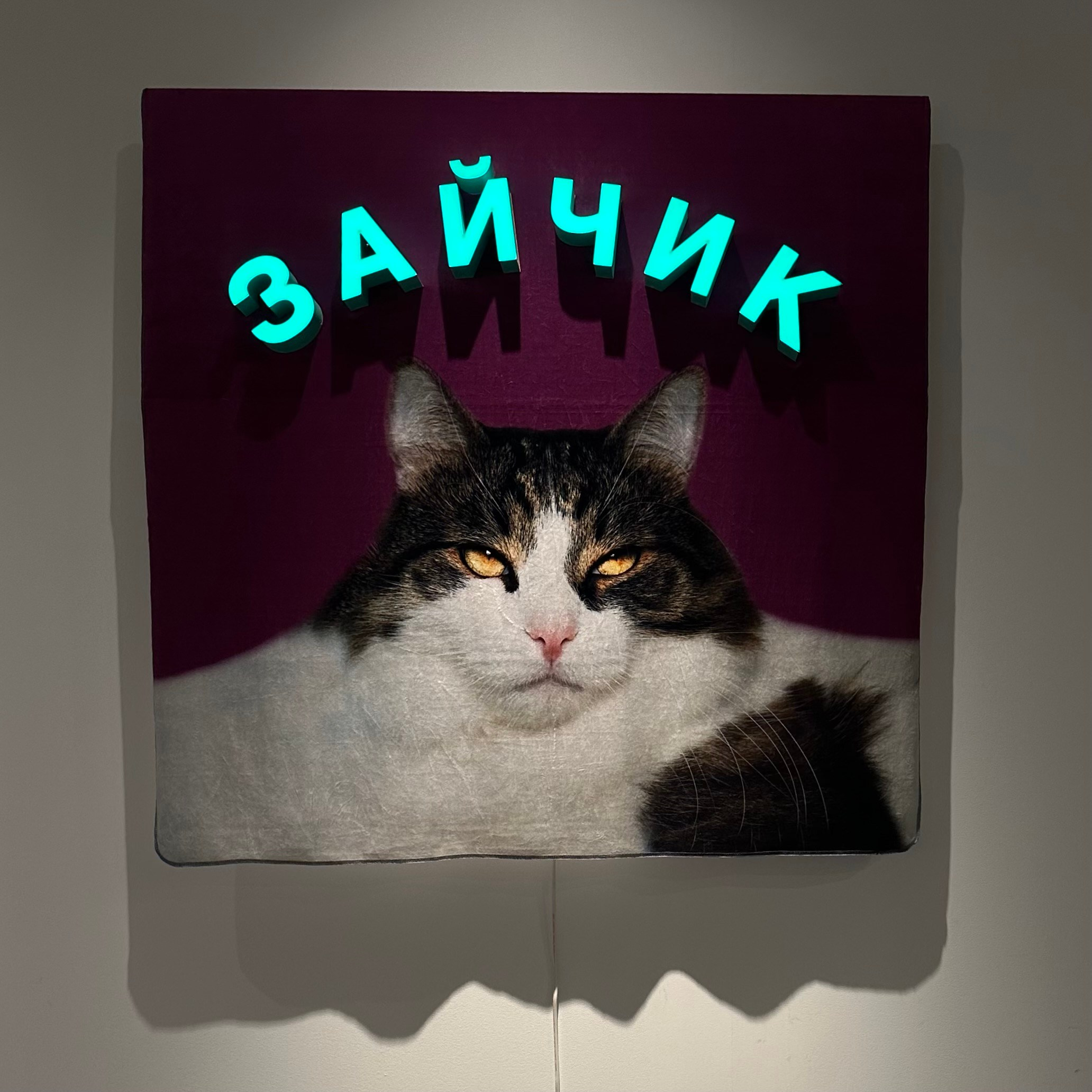 Выставка Чересчур. Фотосессии и репортаж — Фотограф в Москве — Рина Серёгина