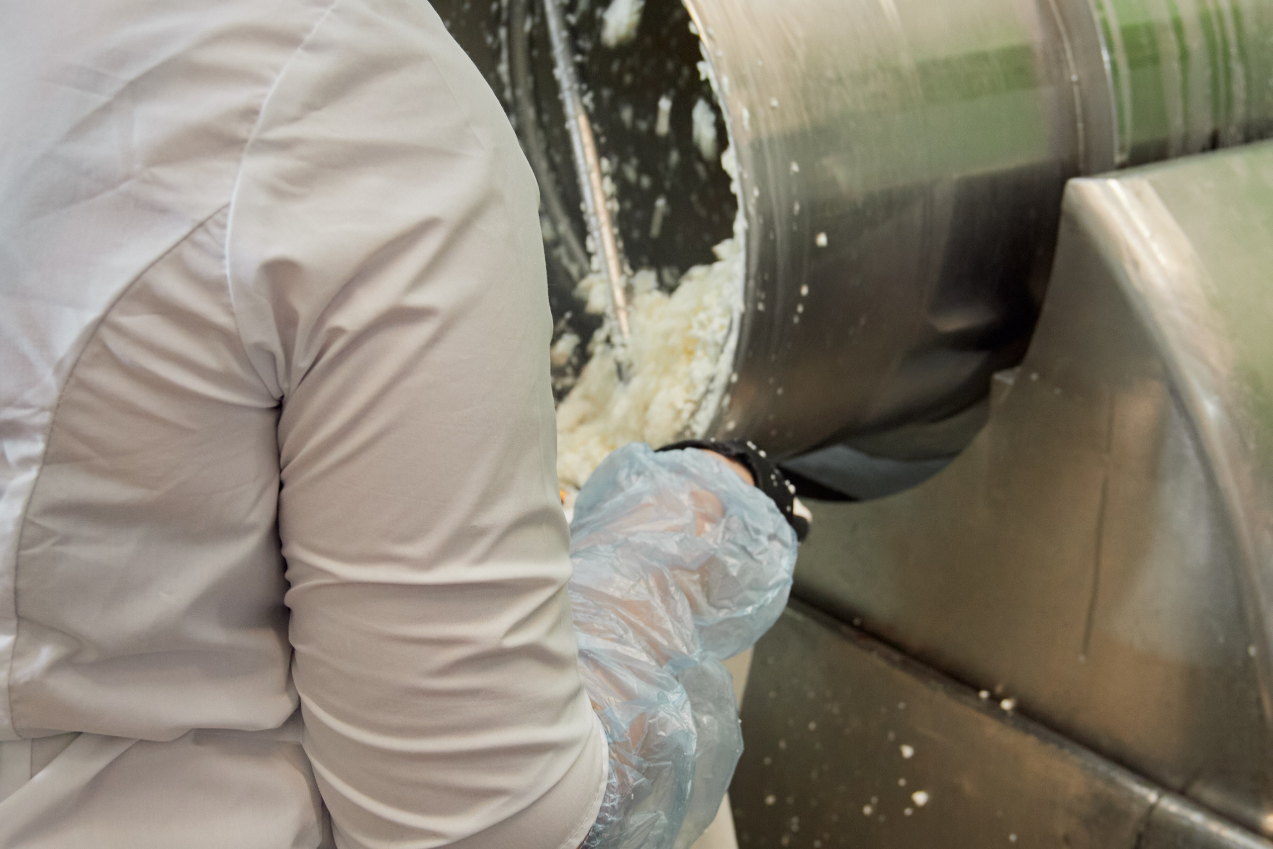 Экскурсия «Агроферма-Катынь». Фотограф в Смоленске Ася Польшина