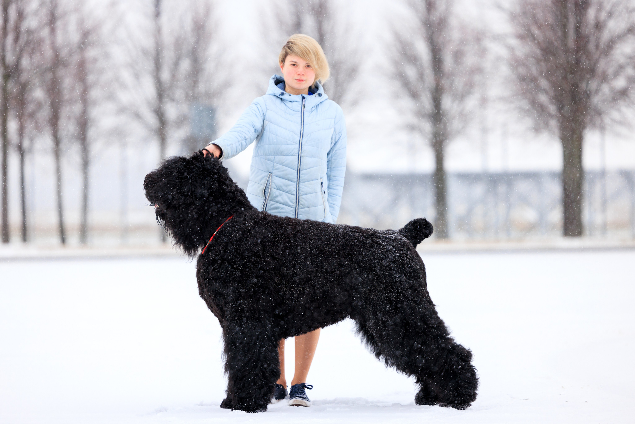 Санкт-Петербург 14.12.2024 ОС. Фотограф-анималист Юлия Германика