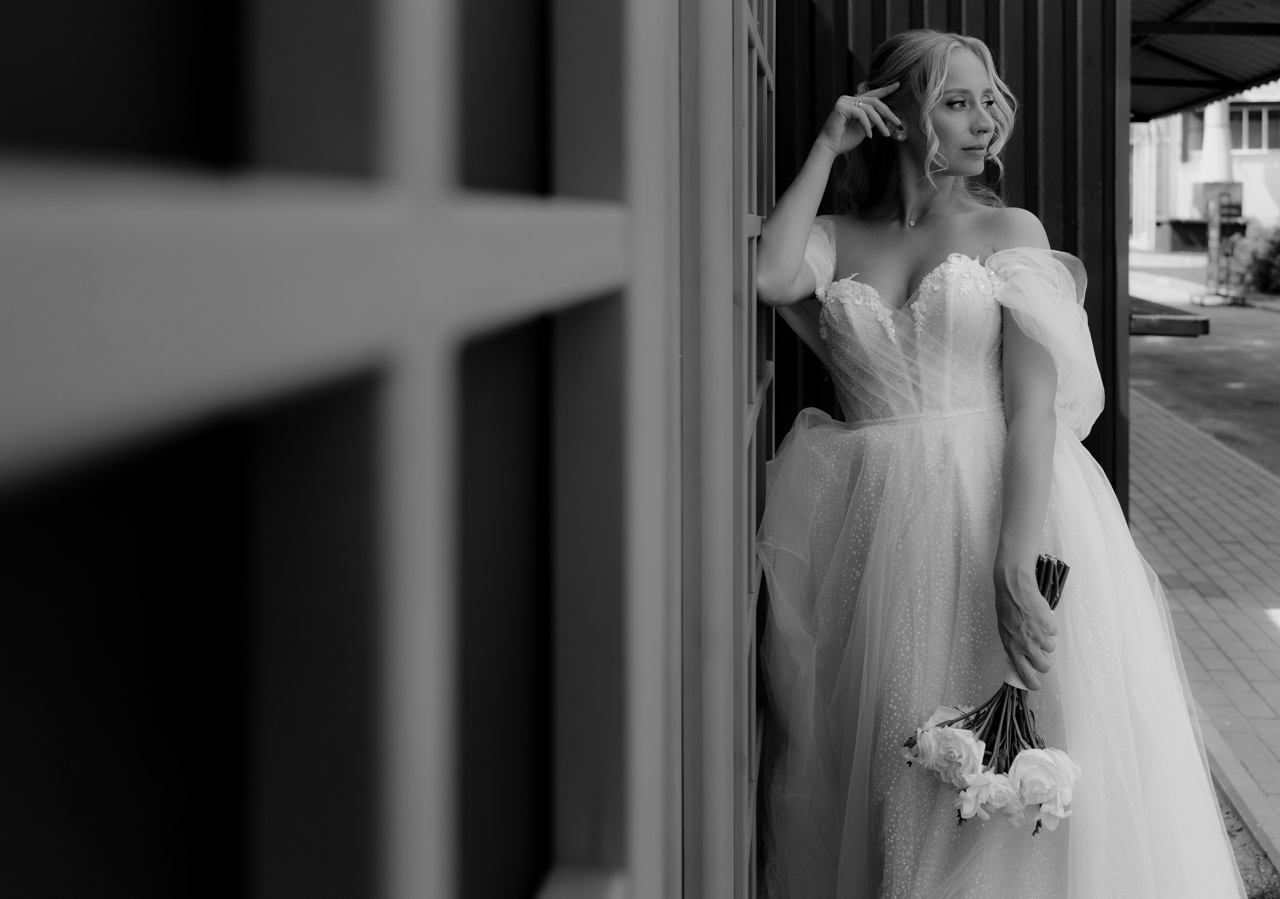 SERGEY_DASHA (ZAIMKA). Фотограф Андрей Ширкалин Москва Московская обл, Коломна, Рязань