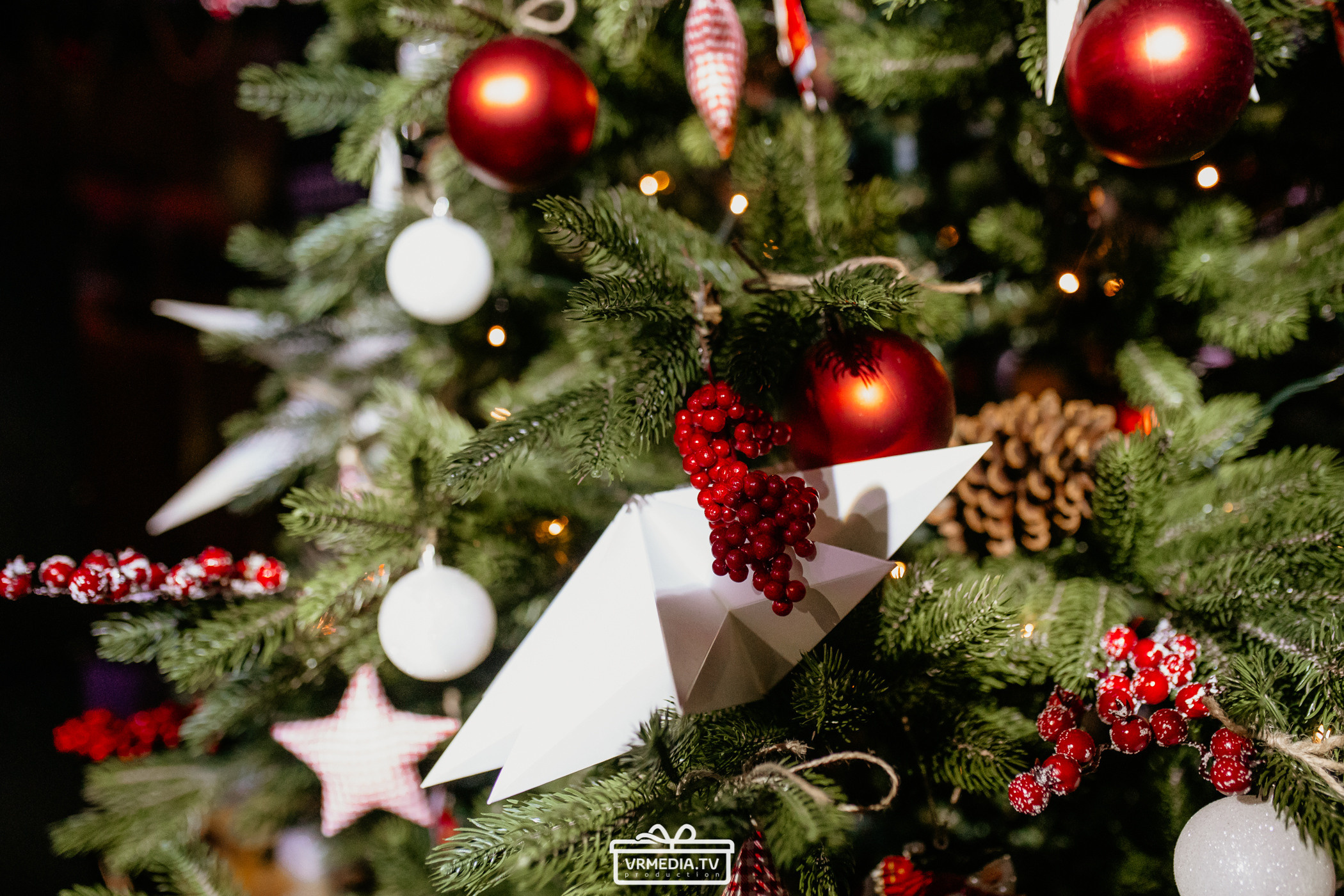 Выходные в «Alpen Club»