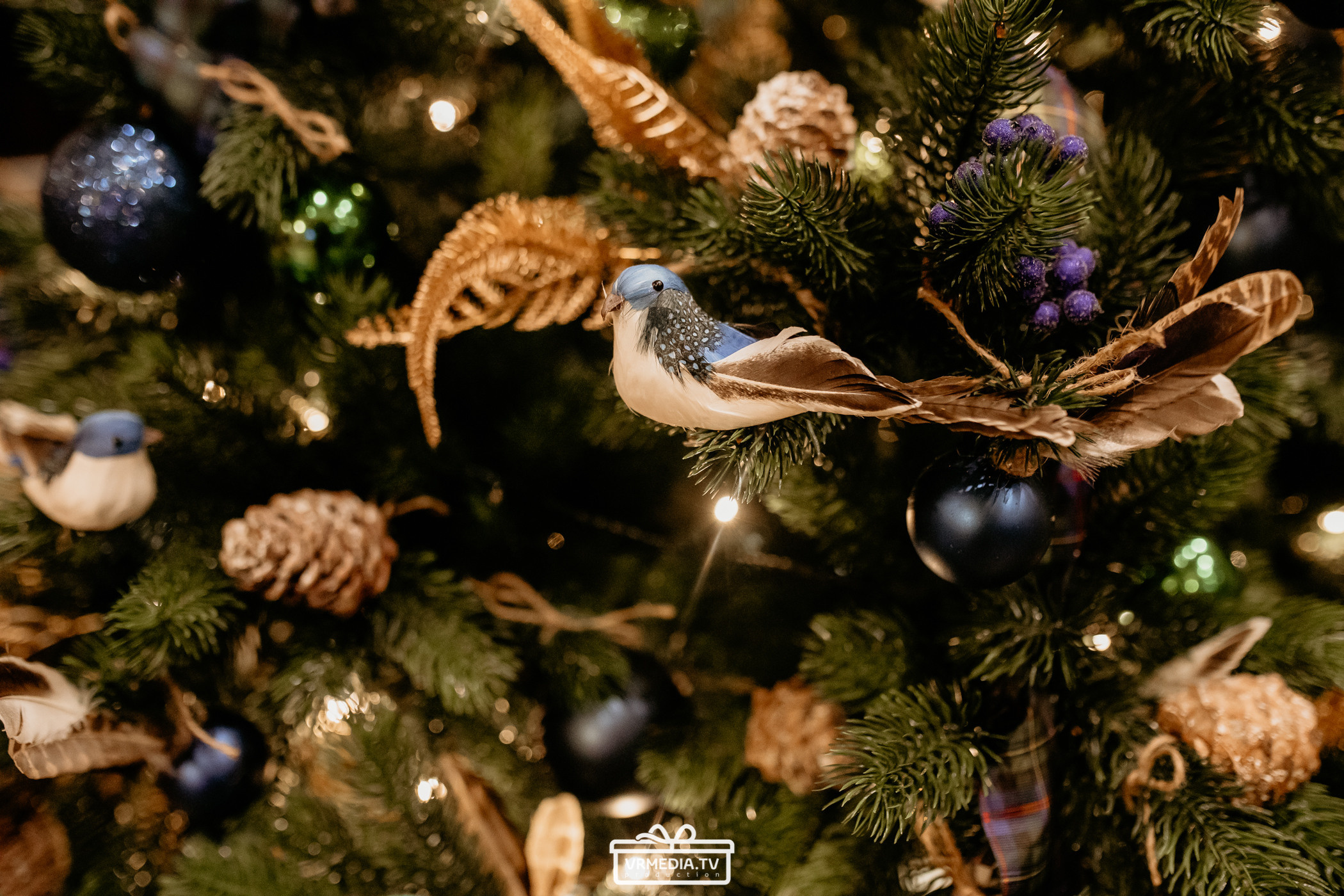 Новогодняя ночь в «Alpen Club»