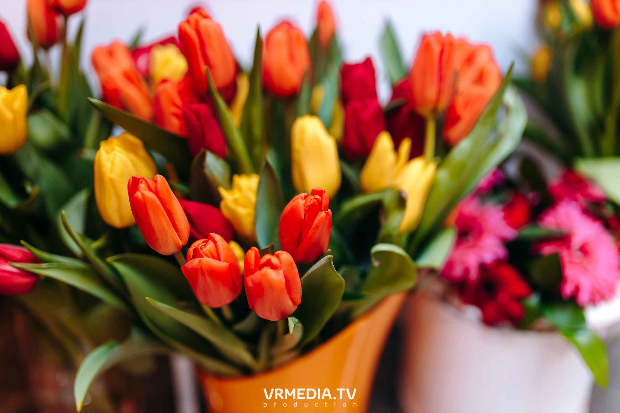 Международный женский день в «Alpen Club»