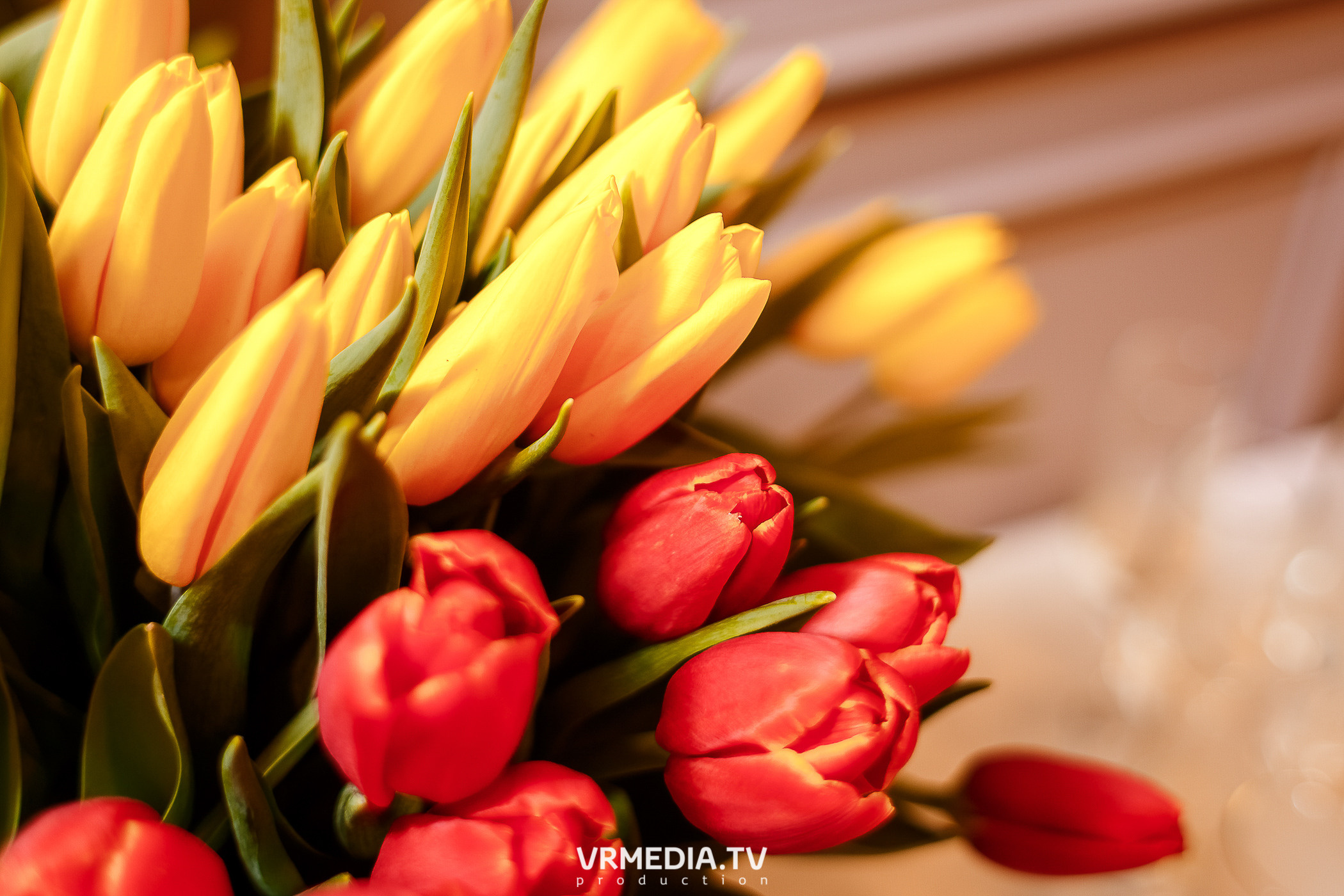 Международный женский день в эко-отеле «Лукоморье»