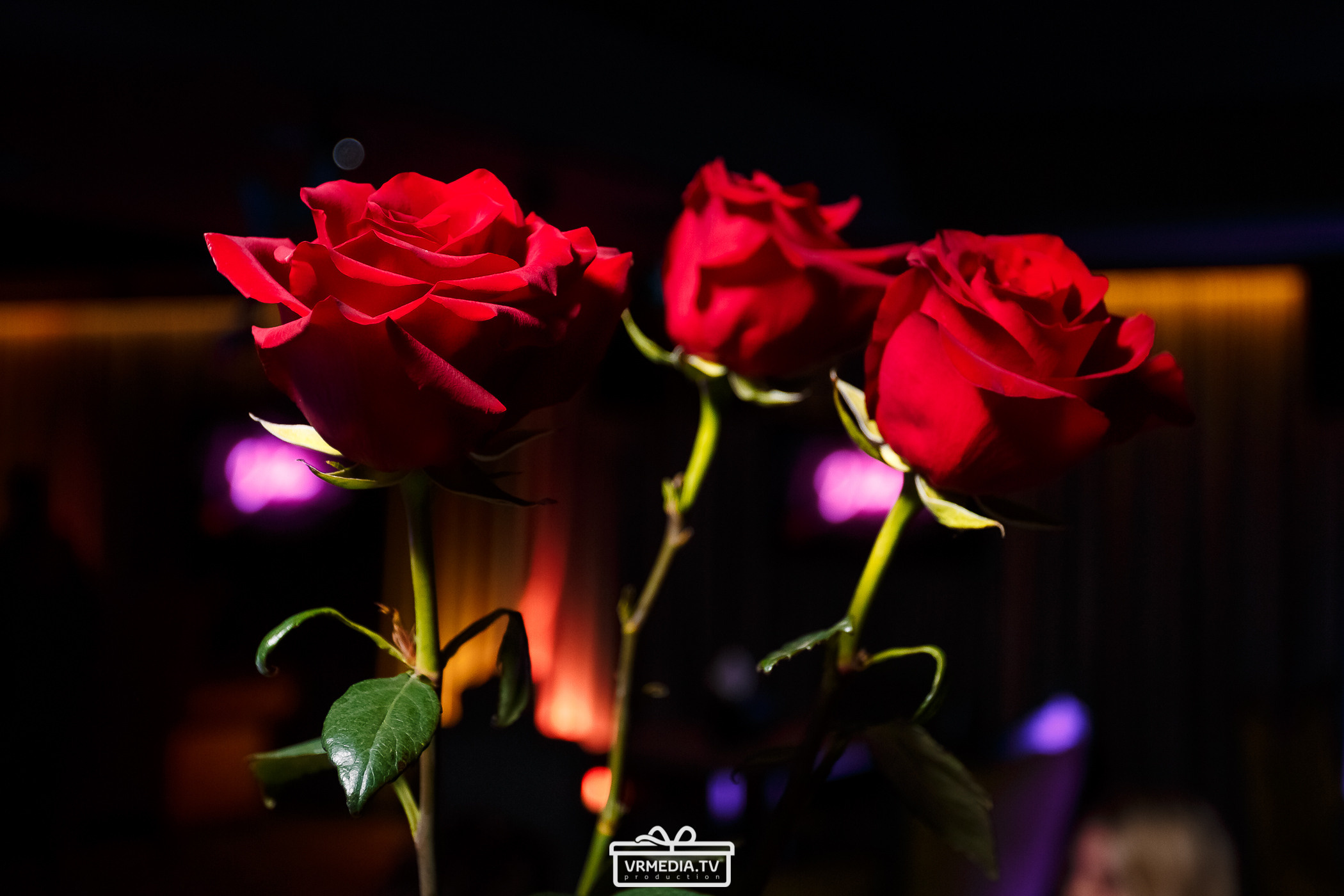 Merry Christmas в караоке-баре «Volna»