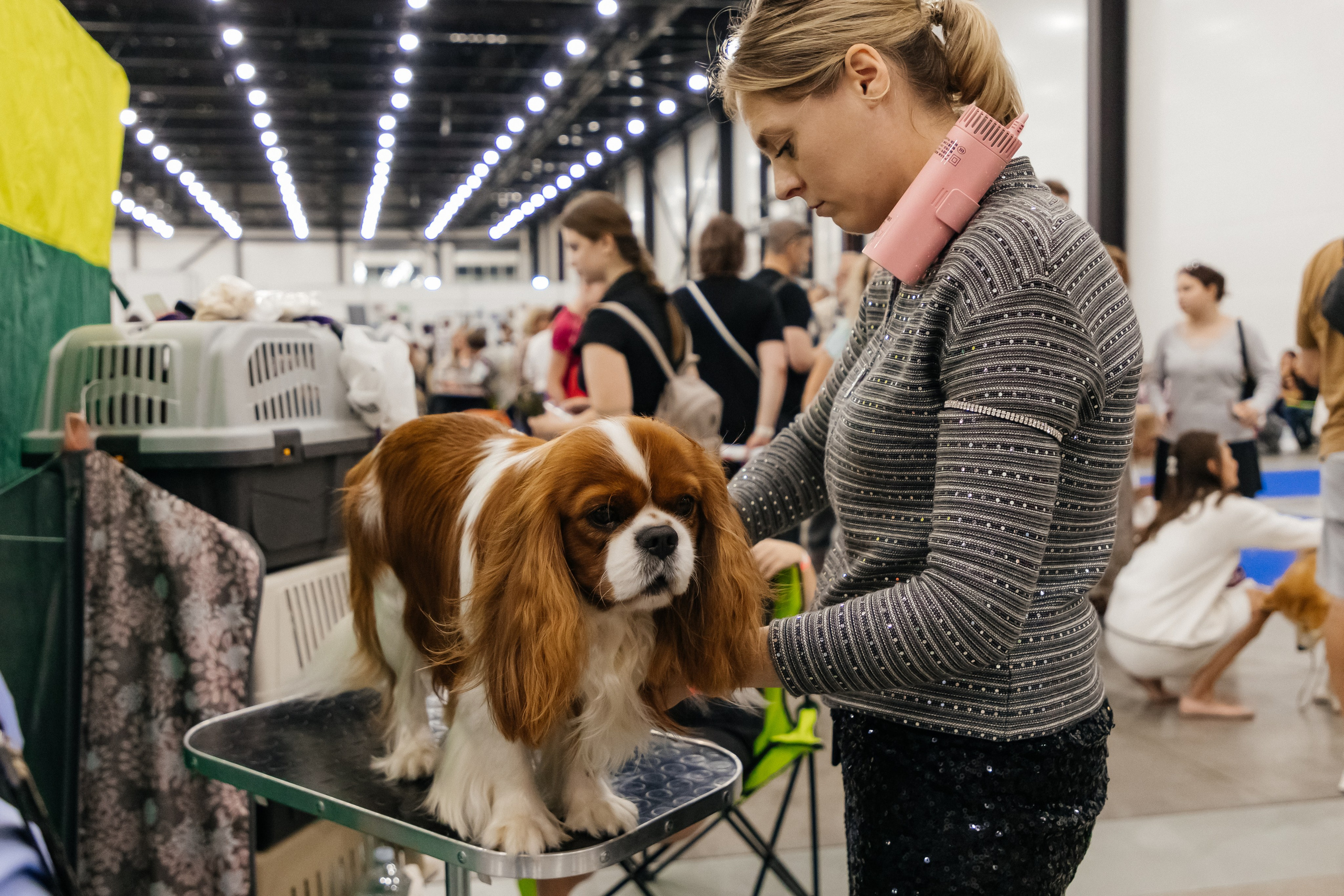 Зоошоу. Экспофорум 31.08. Выставка домашних животных. Семейный фотограф в Санкт-Петербурге Ева Маркова