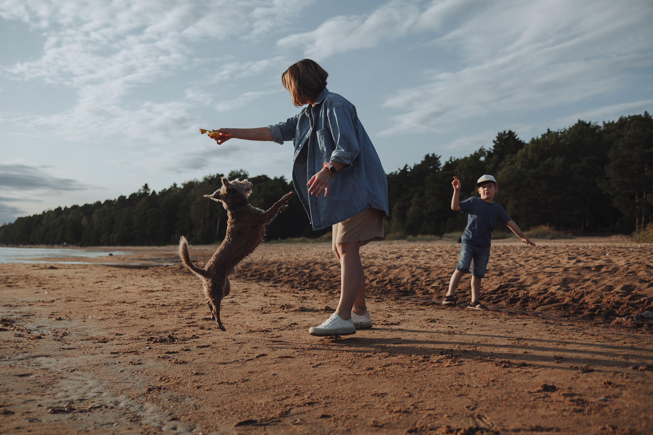 Семейная прогулка с собакой. Семейный фотограф, свадебный фотограф, женский портрет в Санкт-Петербу