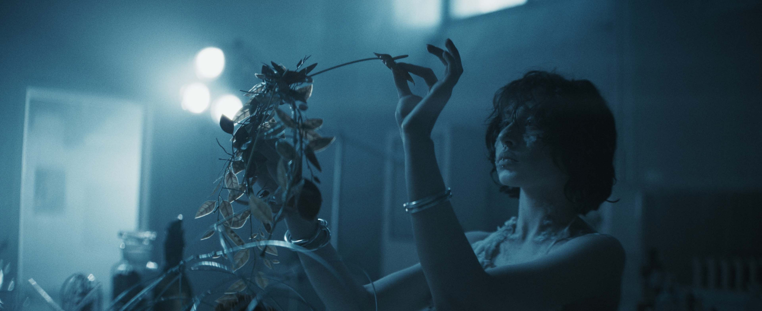 Цветокоррекция видео