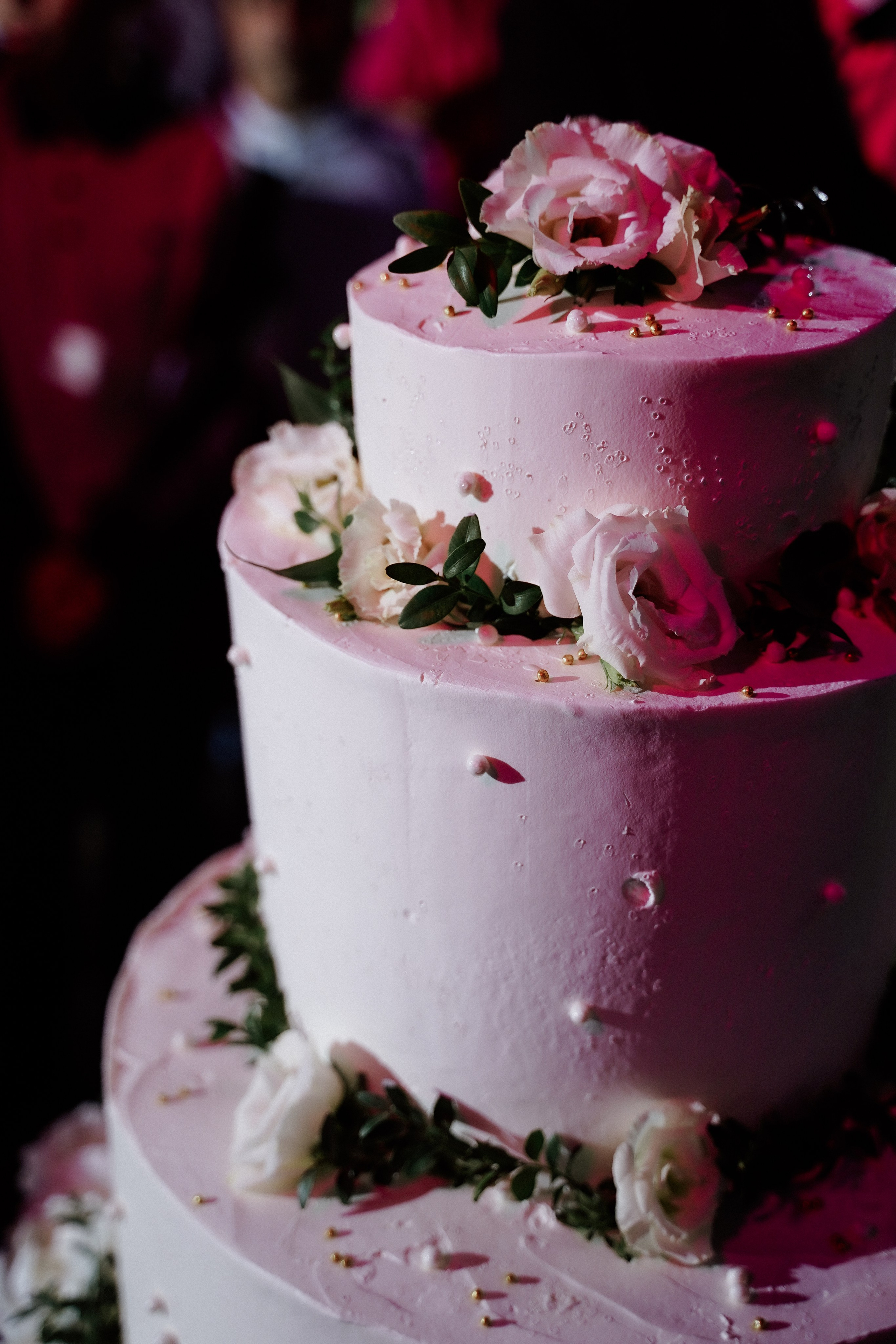 Алиса & Вааг. Фотосъемка и видеосъемка свадеб Липецк