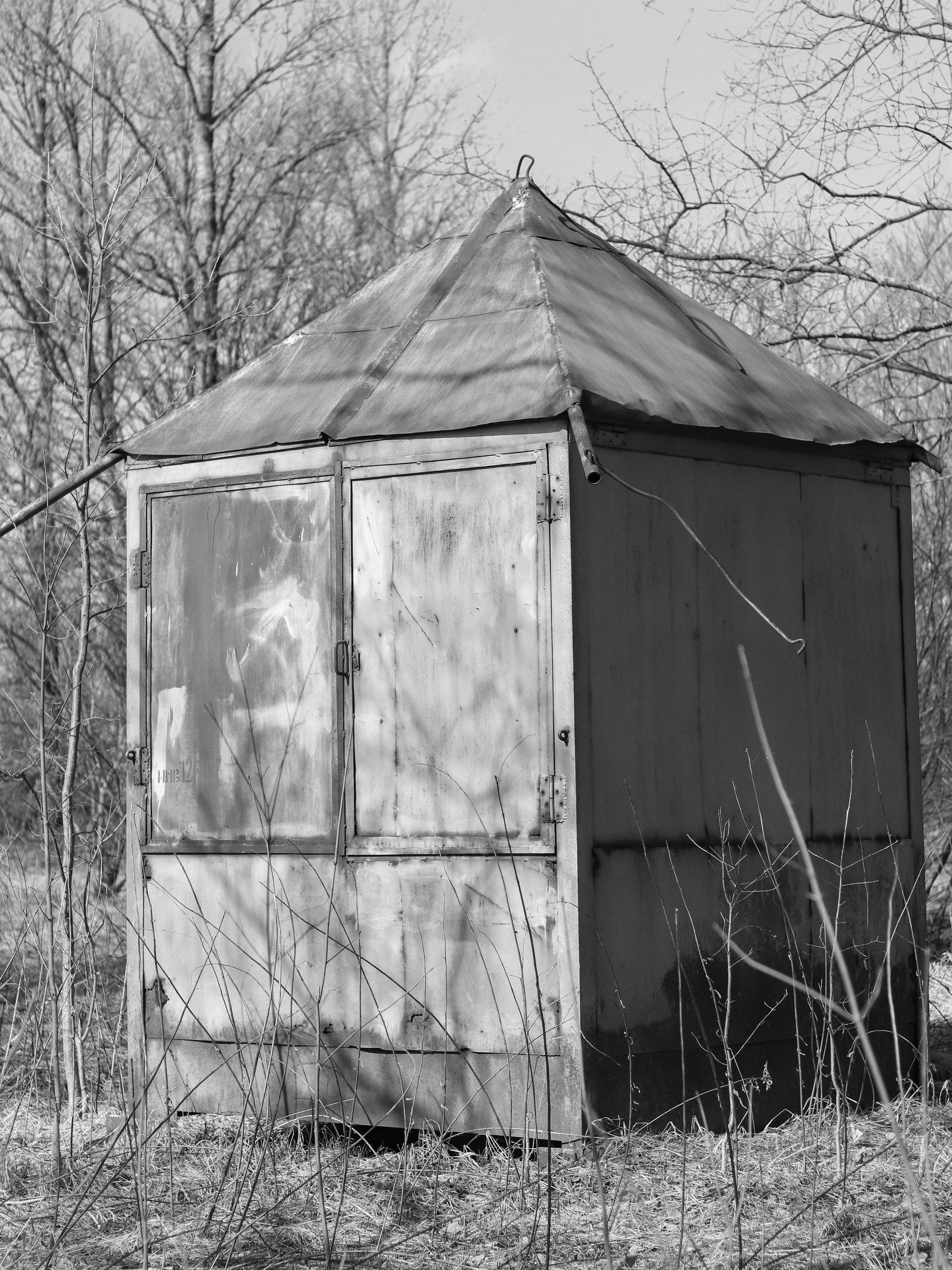 Garden against time. Фотограф и исследователь фотографии из Санкт-Петербурга Елизавета Веприцкая