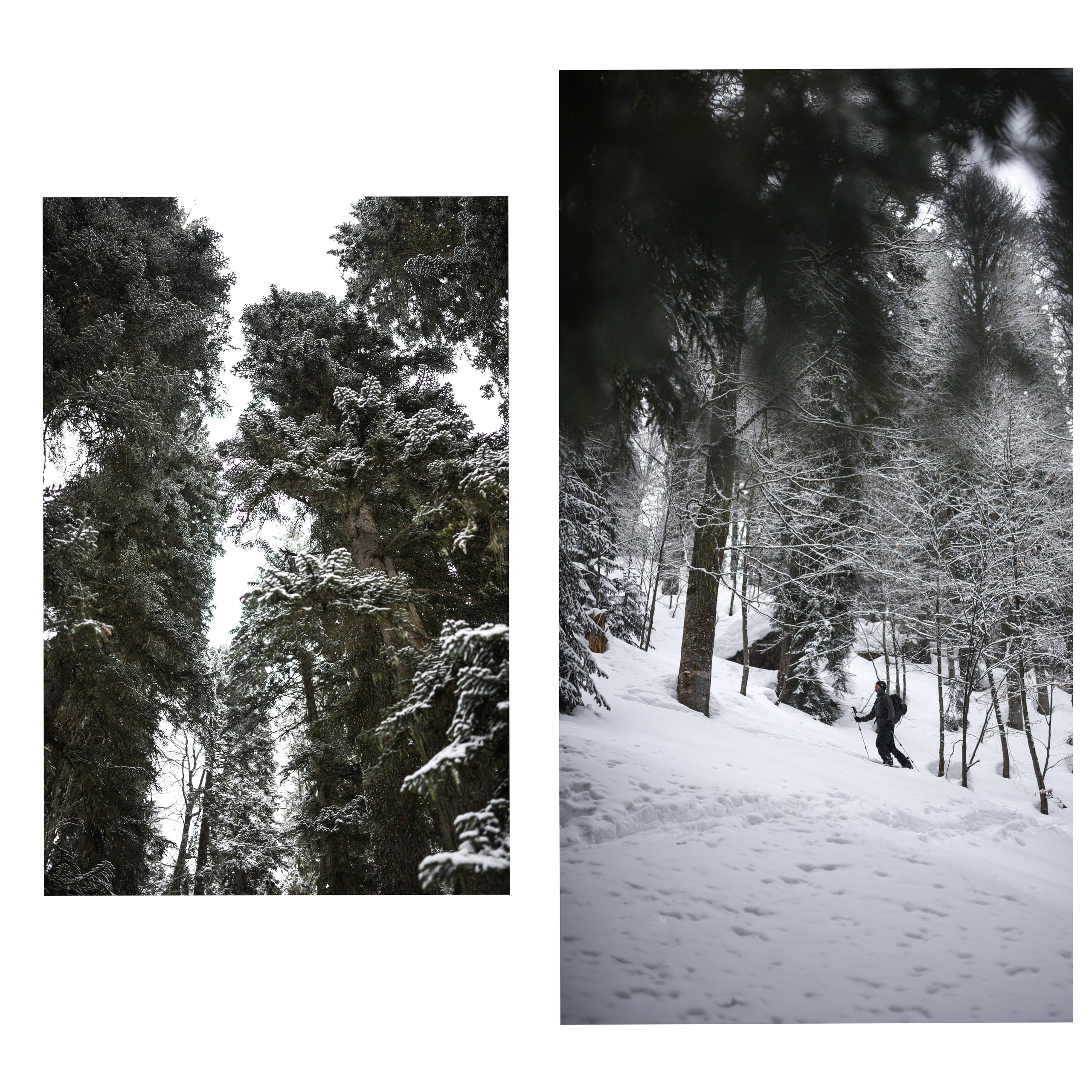 Winter Abjazia. Anastasia Serdyuk, travel photographer, travel photo, portraits, stories, fineart prints